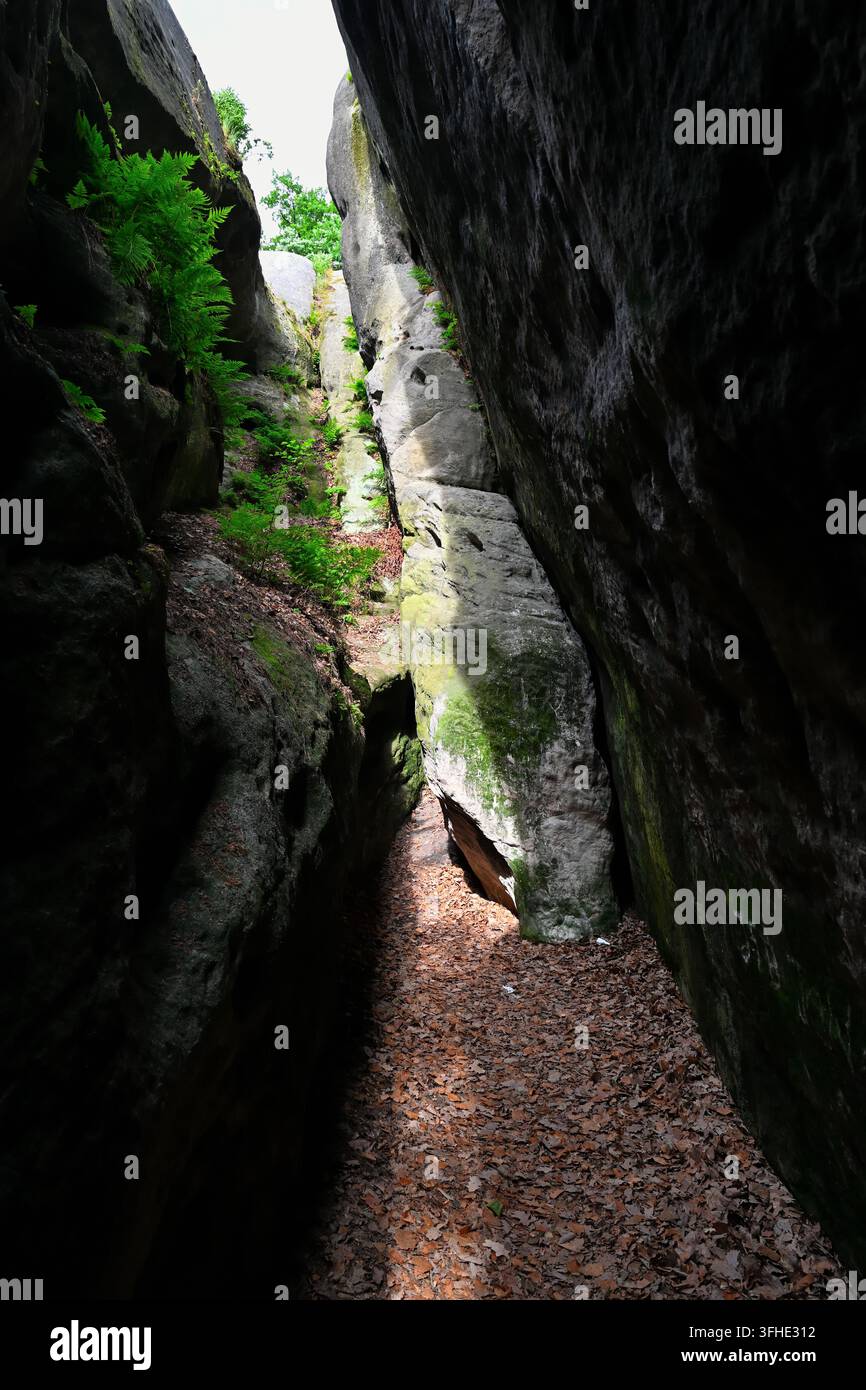 Fente rocheuse étroite et gorge à l'intérieur de la formation Bile Kameny, Tchéquie Banque D'Images