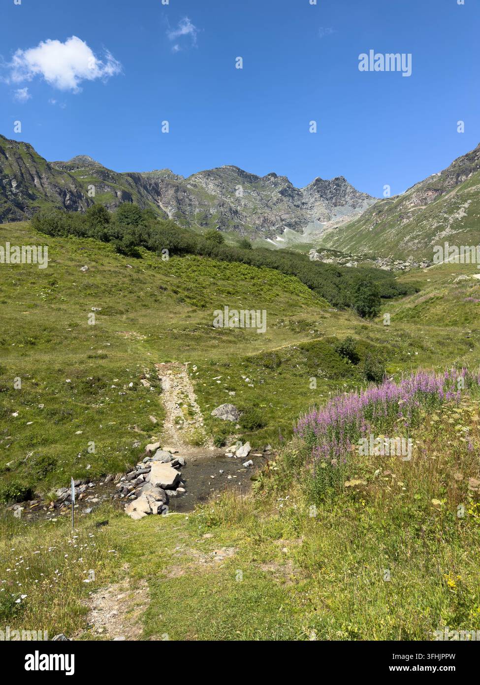 la belle nature intacte du Monte Rosa en été. Banque D'Images