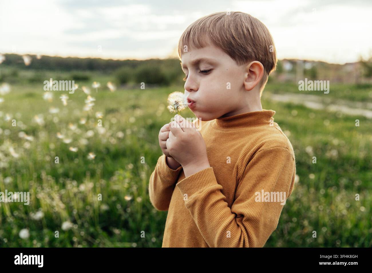 Petit garçon tient et souffle sur une fleur de pissenlit avec des graines. Enfant dans une prairie au coucher du soleil. Banque D'Images