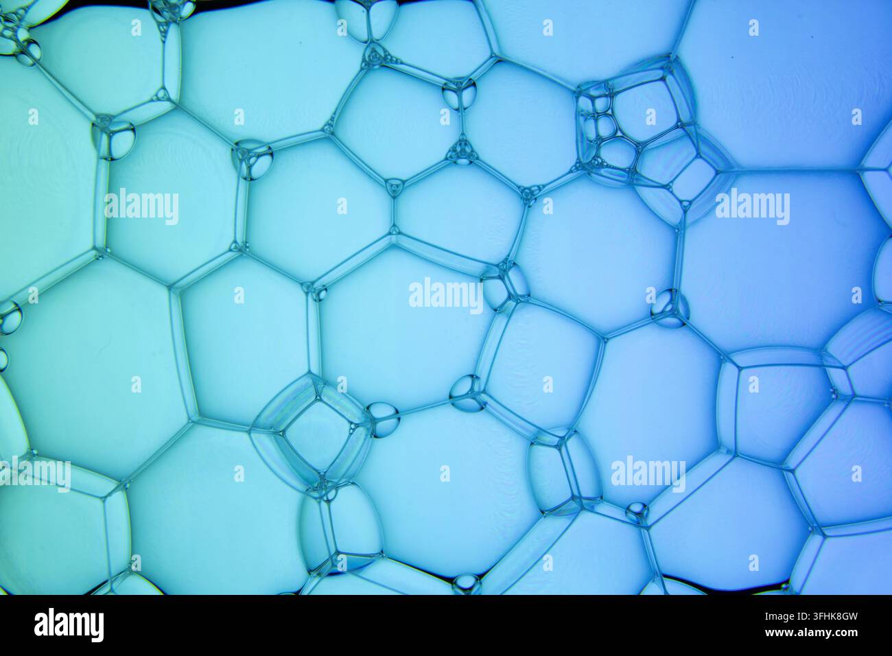La surface des bulles. Gros plan extrême de la structure de mousse de savon transparente sur du vert et du bleu. Fond cosmétique, vue de dessus Banque D'Images