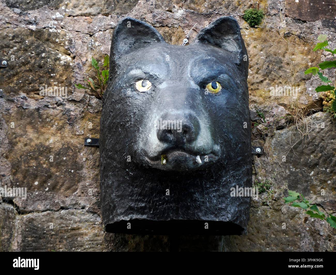 Sculpture de tête de loup peinte en sombre avec des yeux jaunes et des crocs, montée sur un vieux mur de pierre sur le sentier des contes des frères Grimm à Marburg, en Allemagne. Banque D'Images