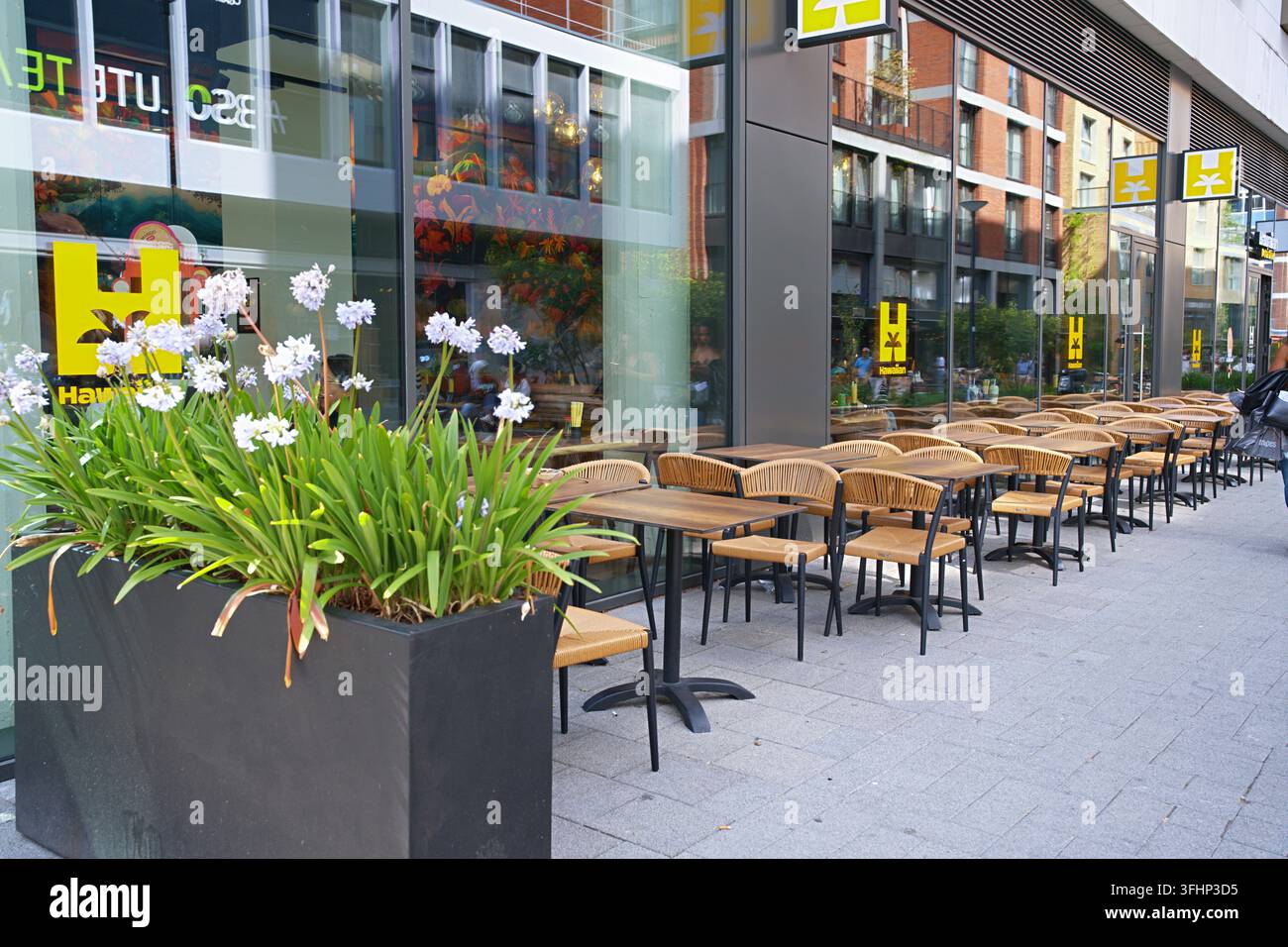 Rotterdam, Pays-Bas - 07.19.2026 Une terrasse de café extérieure confortable avec des tables en bois et des jardinières Banque D'Images