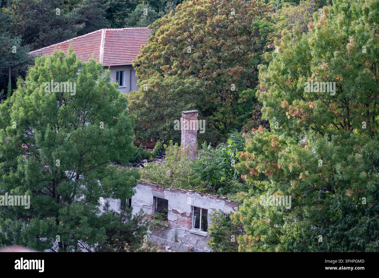 Un vieux bâtiment en briques en ruine avec une cheminée intacte se dresse envahi par des arbres verts denses et une végétation qui reprend l'architecture effritée. Banque D'Images