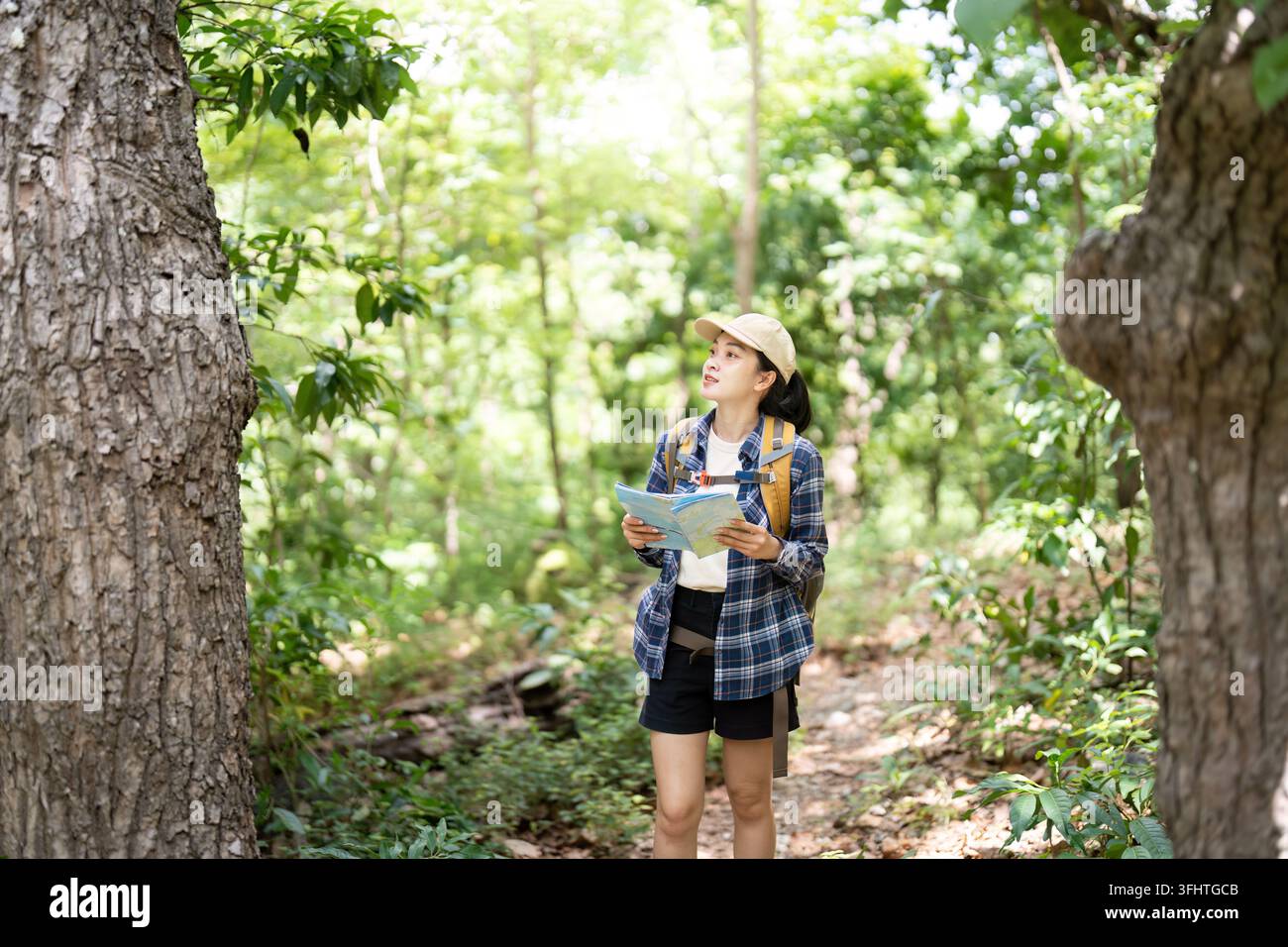 Naviguer dans la nature : jeune femme lisant la carte dans la forêt Banque D'Images