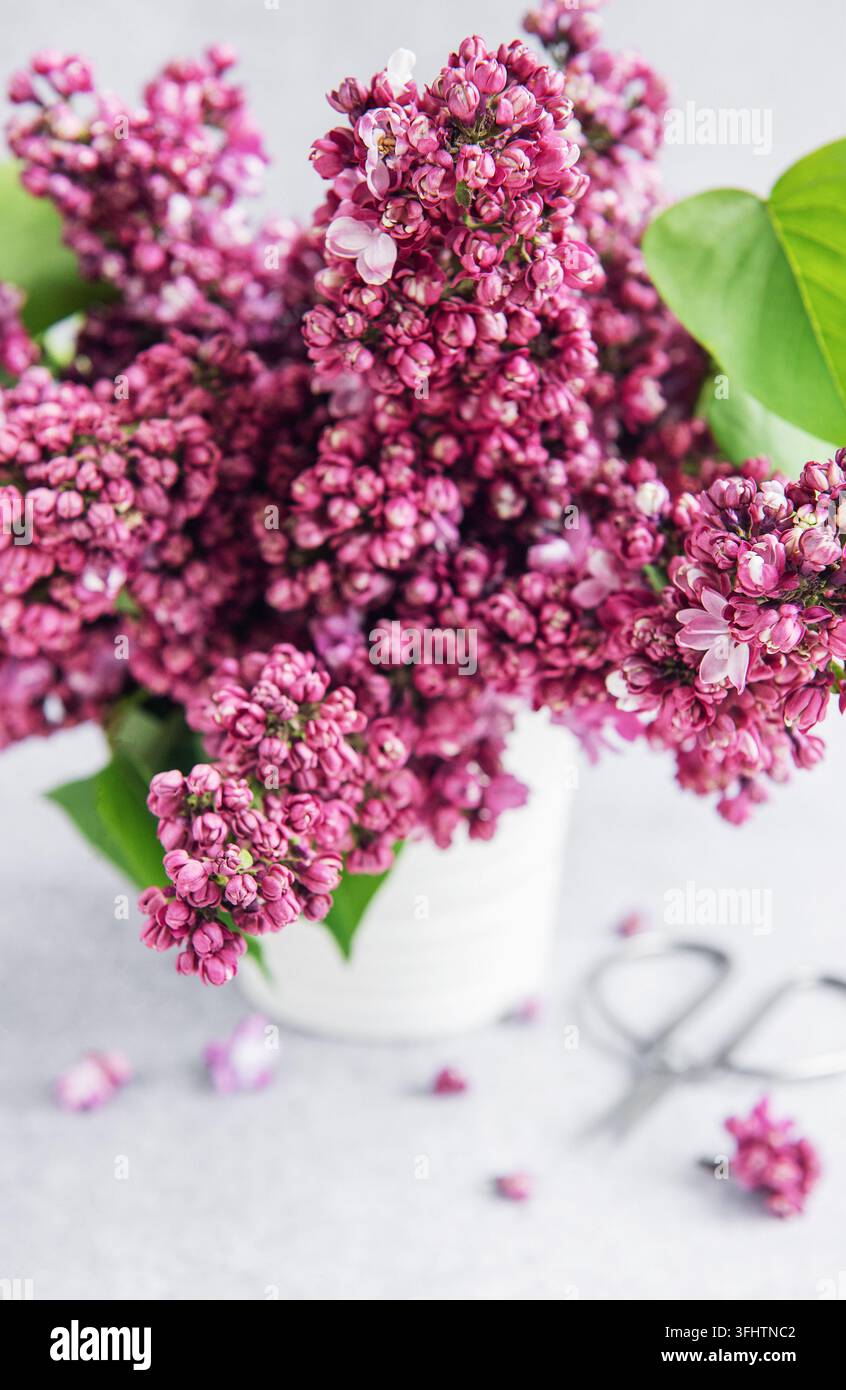 Fleurs de lilas sur un vase Banque D'Images
