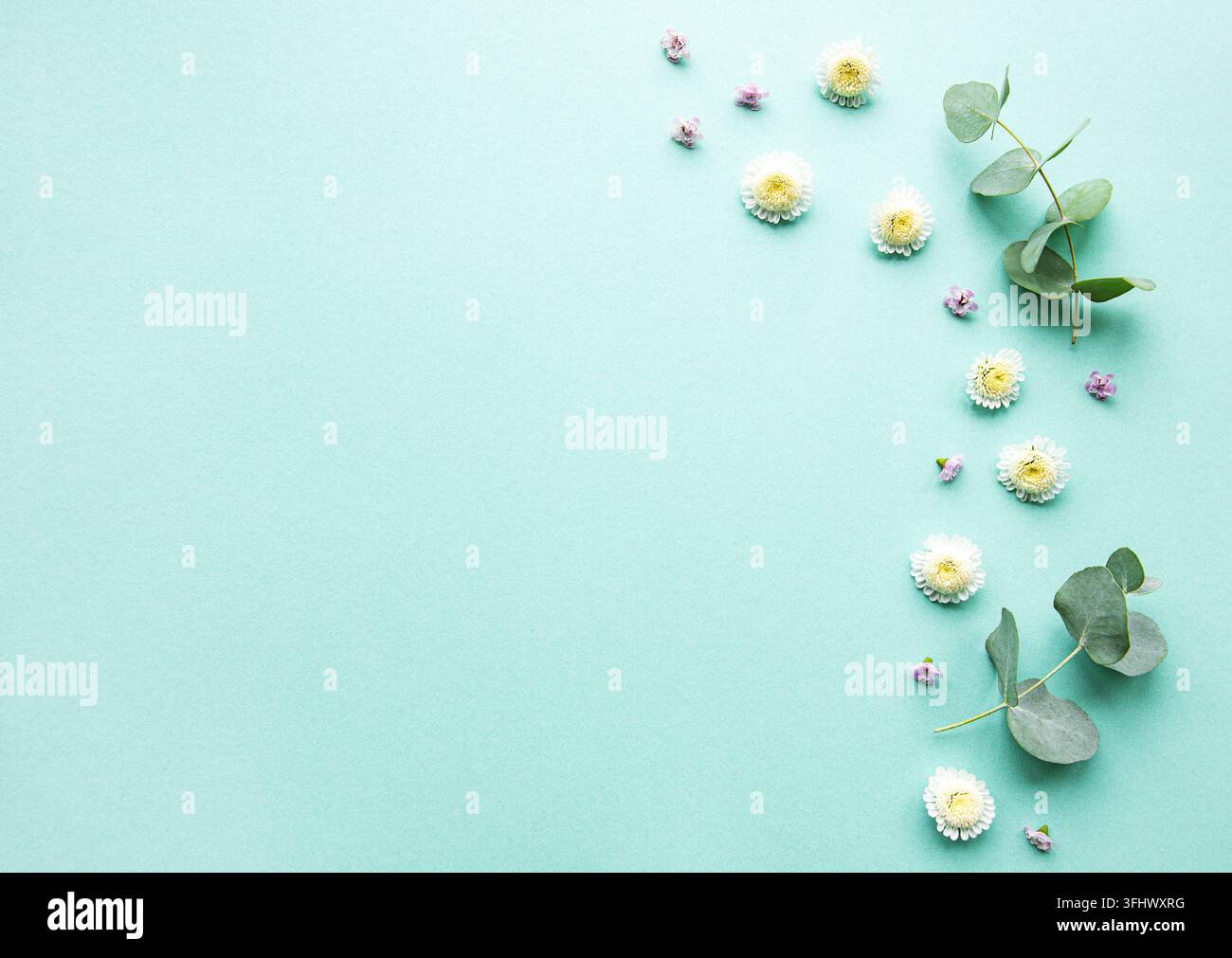 Composition de fleurs sur fond vert Banque D'Images