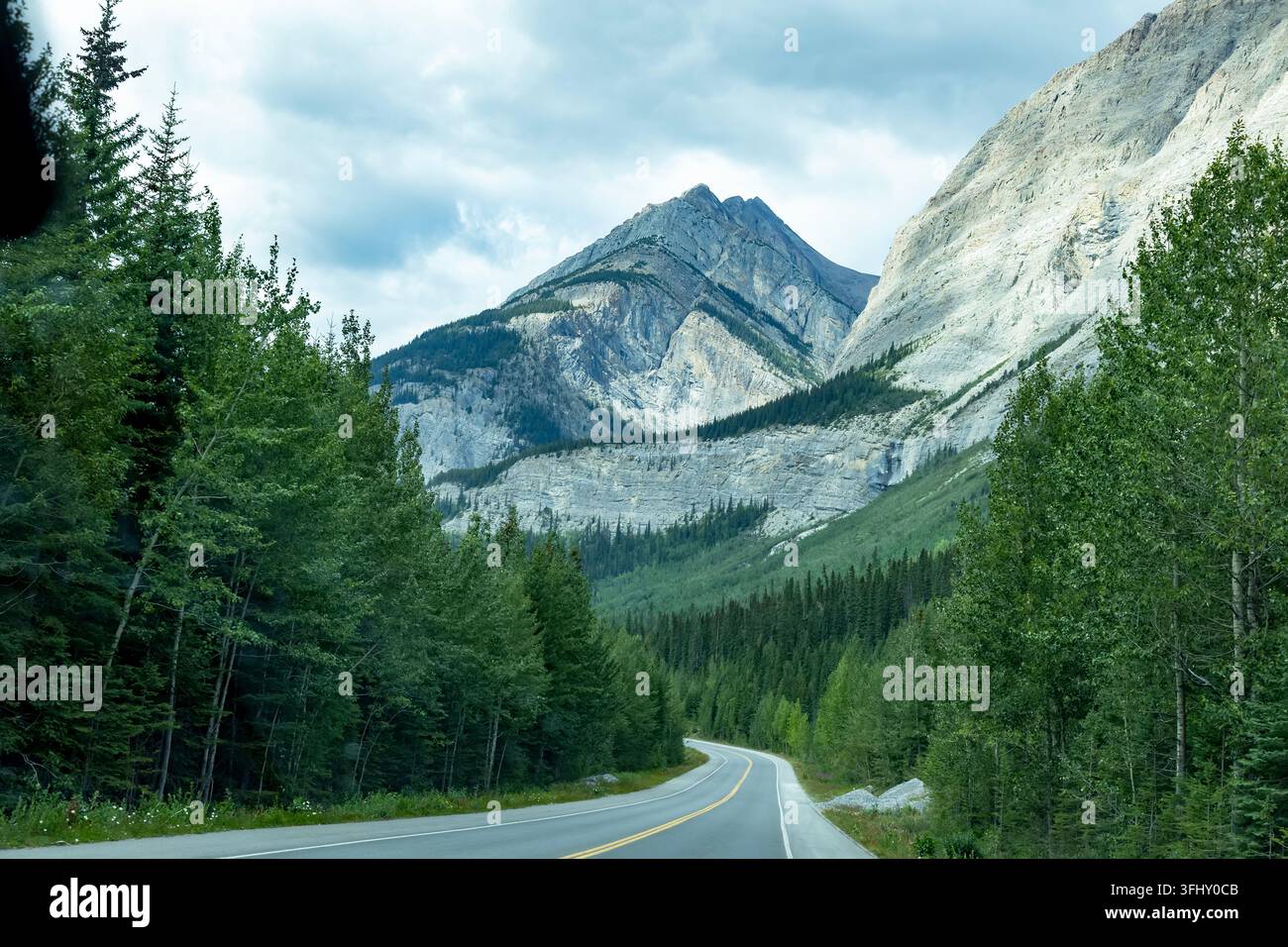 Route de montagne pittoresque serpentant à travers des forêts de pins sous un ciel nuageux, District d'amélioration no 9, Banff, Alberta, Canada Banque D'Images