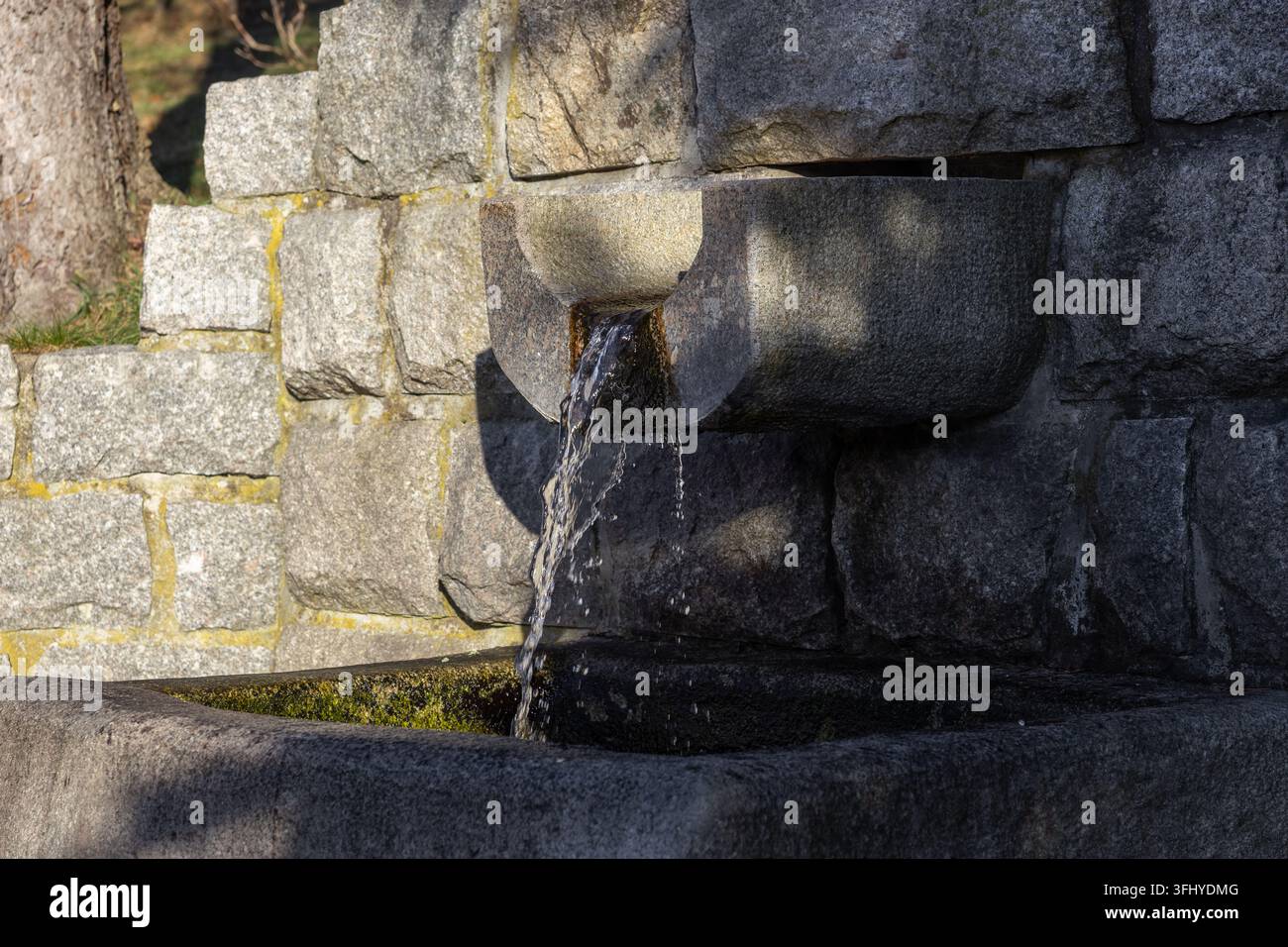 L'eau de source naturelle s'écoule régulièrement d'un bloc de pierre rugueux dans un bassin, symbolisant la pureté environnementale et les ressources durables dans un calme, tr Banque D'Images