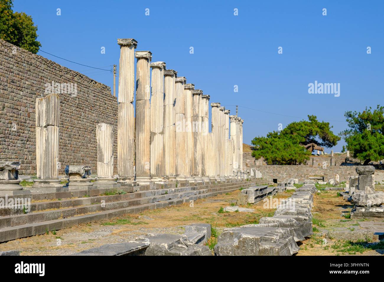 Range de colonnes en marbre ioniques antiques restaurées alignées le long des marches de la fondation en pierre du sanctuaire d'Asclépios à Pergame, Bergama. Banque D'Images