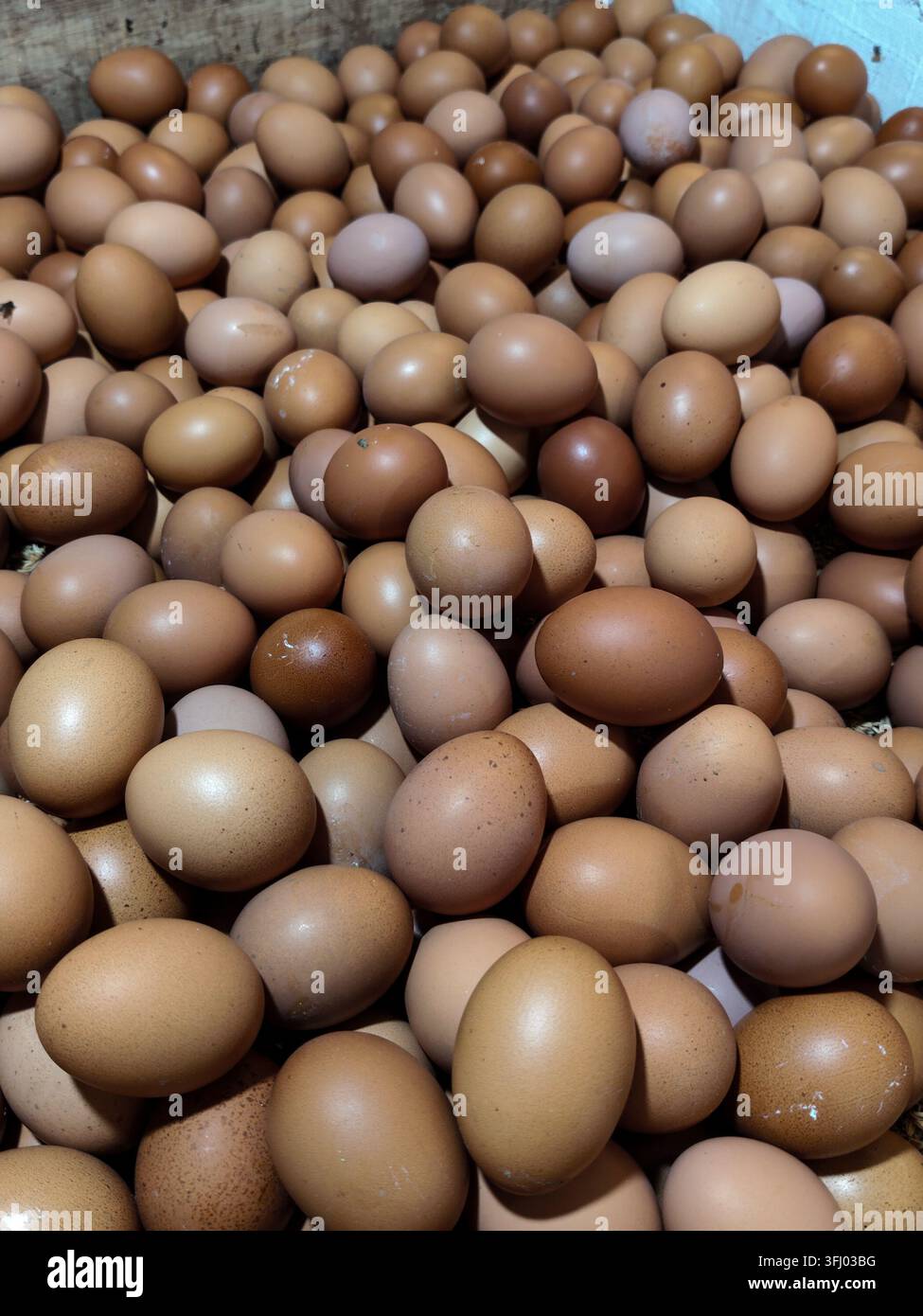 Une énorme collection d'œufs de poule bruns frais sur un stand de marché local, riches en nutriments et essentiels pour une cuisine saine au quotidien. Banque D'Images