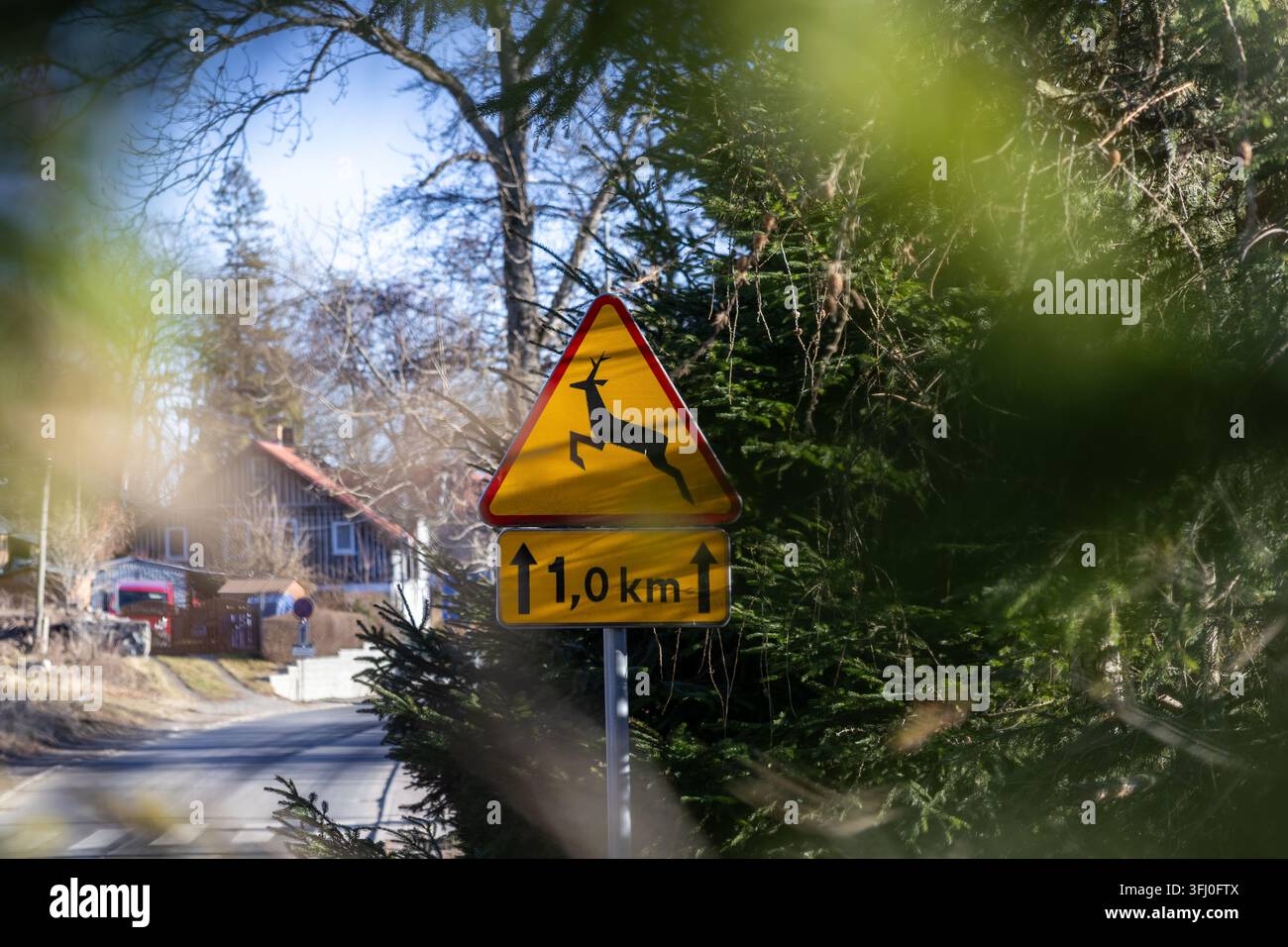 Un panneau de signalisation triangulaire alerte les automobilistes sur la présence d'animaux sur la route à venir, soulignant la sécurité tant pour la nature que pour les usagers le long d'une route forestière paisible Banque D'Images