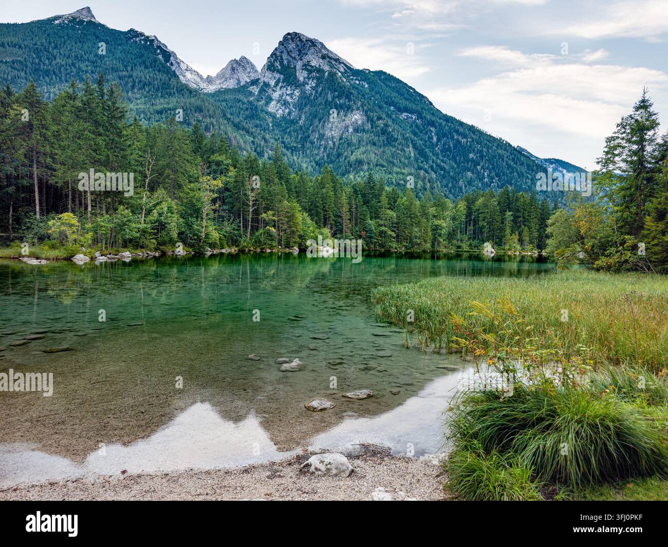 Eau turquoise claire du lac Hintersee, reflétant les forêts de pins denses environnantes et l'imposante chaîne de montagnes Watzmann dans les Alpes bavaroises. Banque D'Images