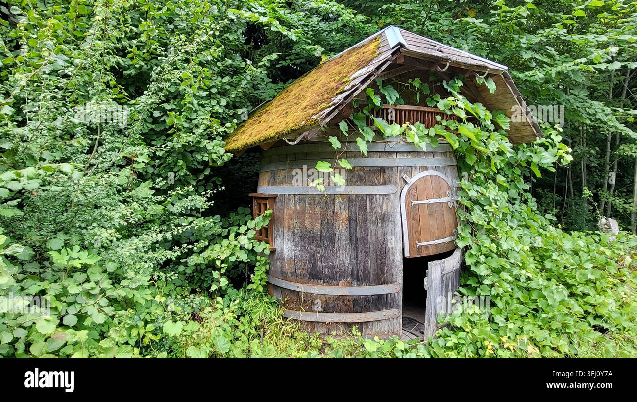 Petite cabane en bois en forme de tonneau entourée d'une végétation luxuriante, campagne suisse Banque D'Images