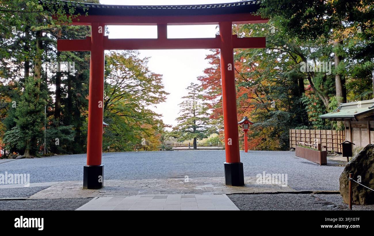 Un portail torii rouge frappant encadre un sentier forestier serein pendant la saison automnale, avec un feuillage vibrant dans des nuances de vert et d'ambre visible à travers le s Banque D'Images