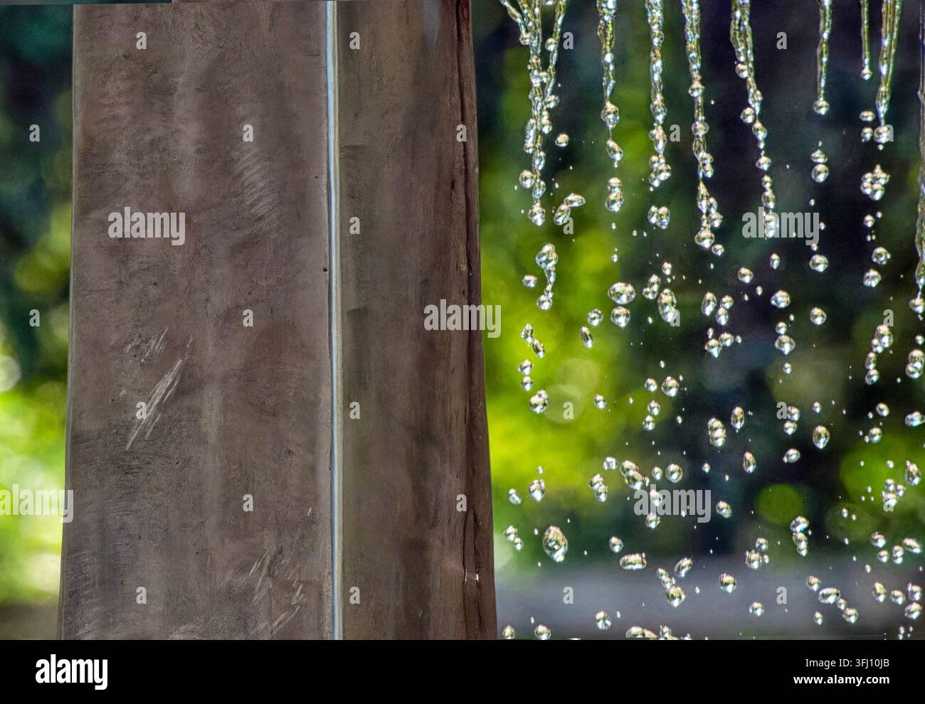 Gouttelettes ou perles d'eau tombantes coulant le long d'une surface verticale lisse sur un fond vert flou. Banque D'Images
