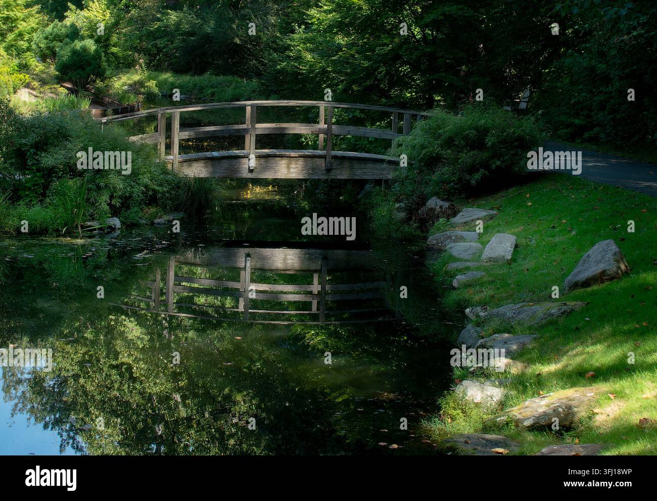 Un pont en bois rustique en forme d’arche traversant un ruisseau calme ombragé par les arbres aux Brookside Gardens à Wheaton, dans le Maryland. Banque D'Images