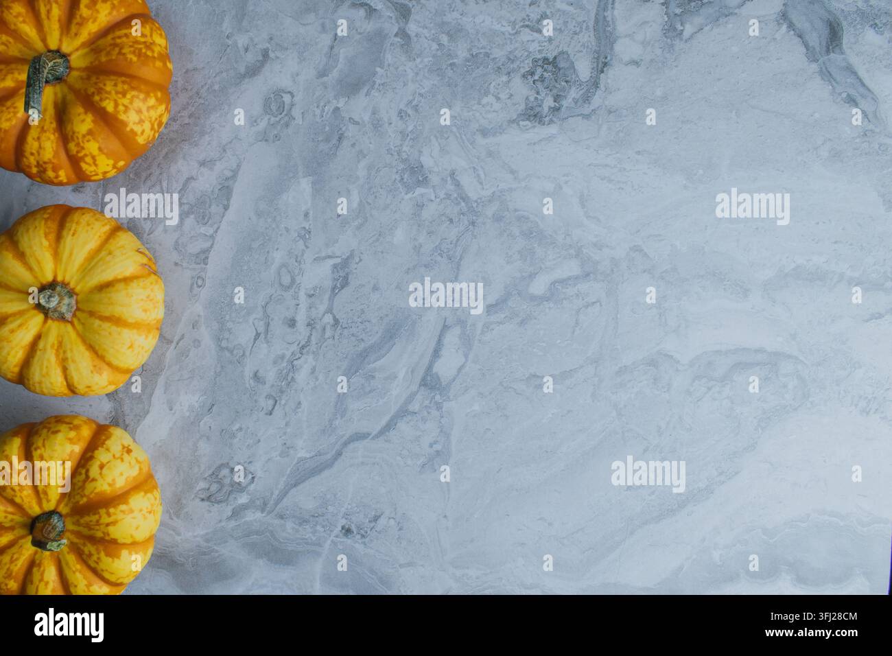 Petits citrouilles oranges s'alignent le long du bord d'un fond de table en marbre gris naturel avec un large espace réservé pour le texte marketing automnal ou les vacances Banque D'Images