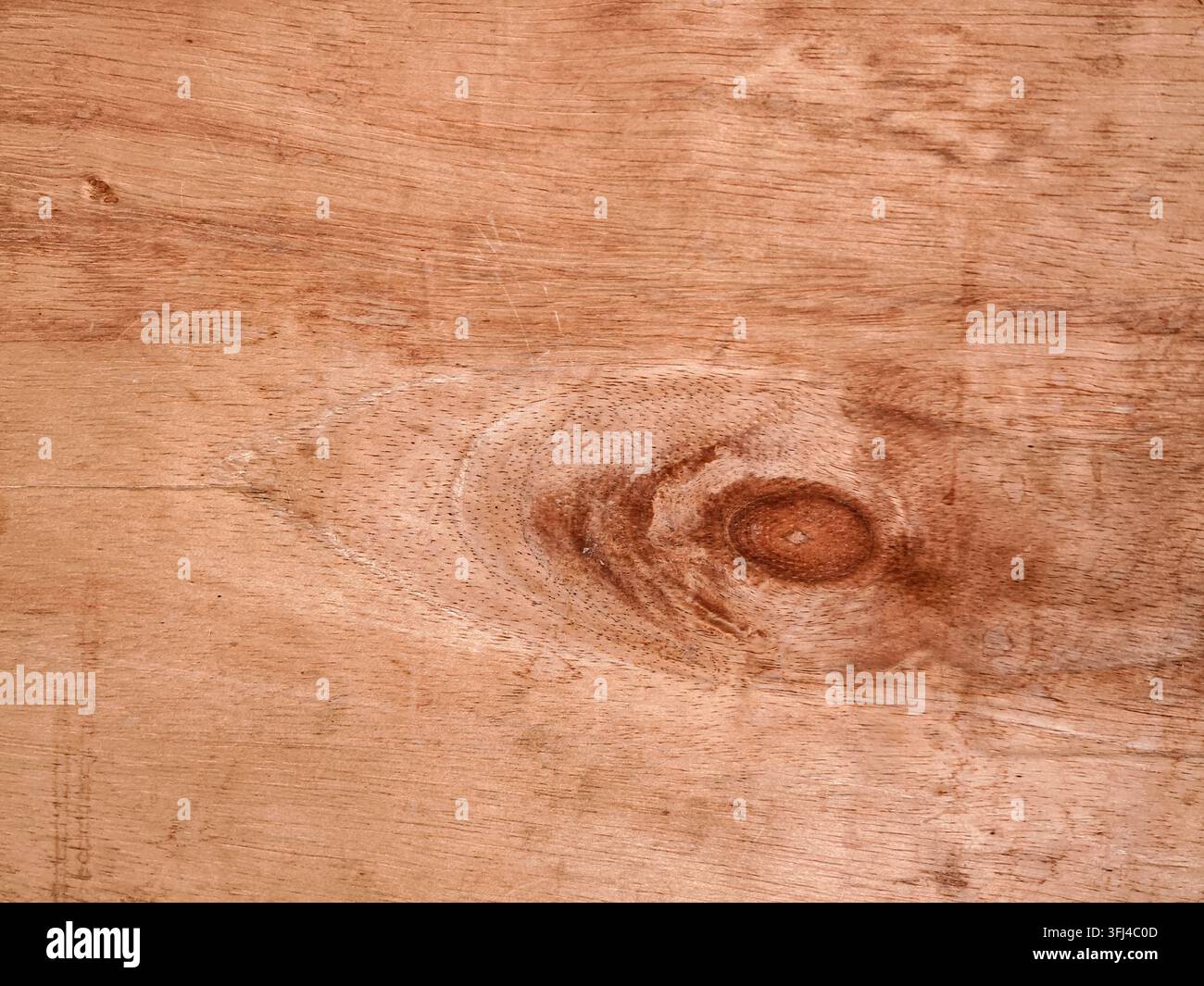 Macro détaillée de la texture naturelle en contreplaqué brun avec motif de veinures de bois et détails de nœuds. Banque D'Images