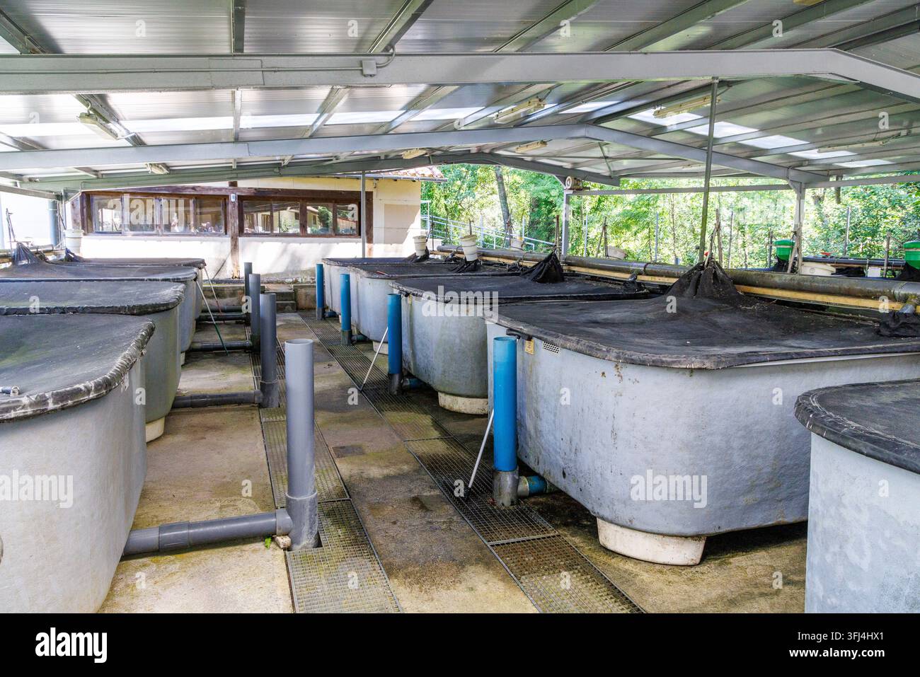 La conservation des poissons fonctionne, Arredondo, Espagne Banque D'Images