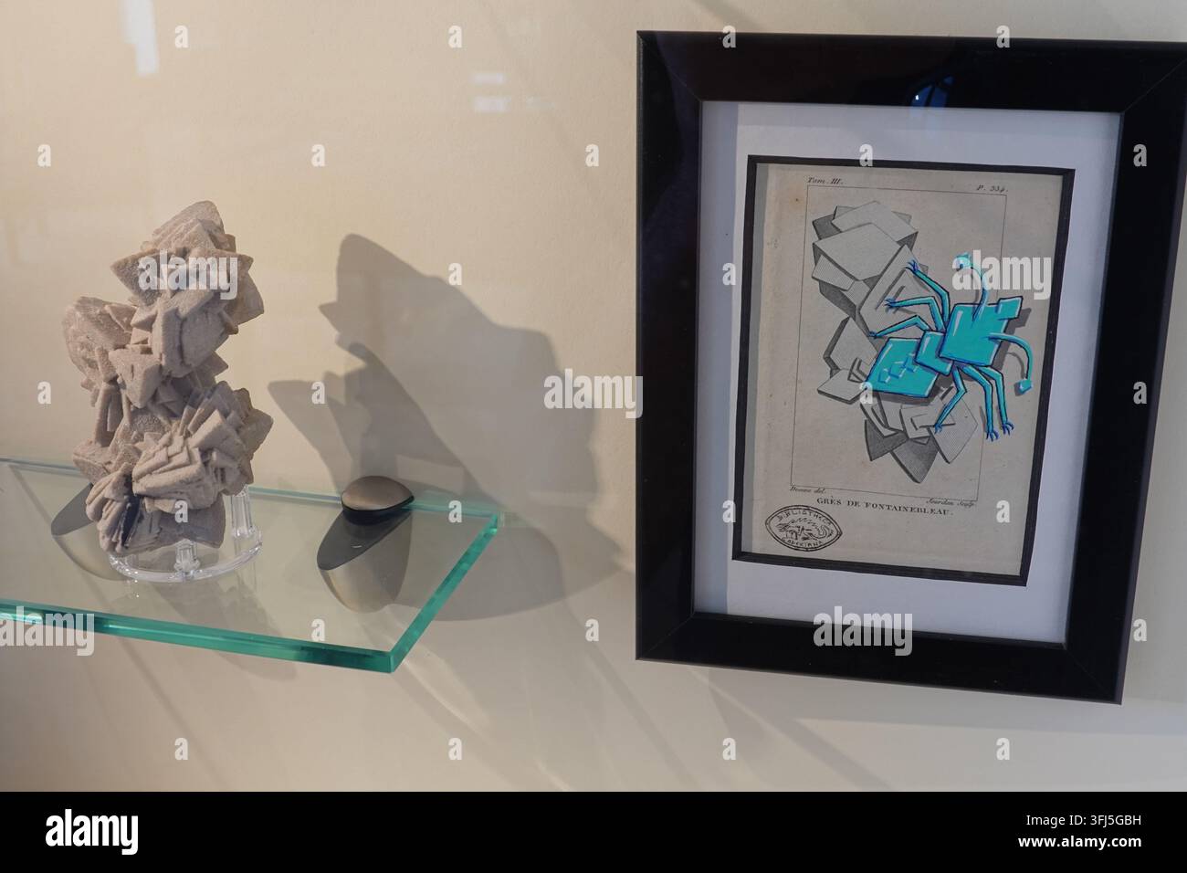 Paris, Musée de Minéralogie de l’École des Mines, exposition de l'artiste de street-art Codex Urbanus // Paris, Musée de Minéralogie de l'École des Mines de Paris Banque D'Images
