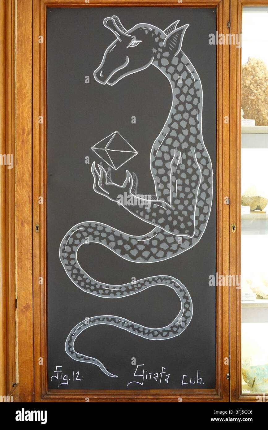 Paris, Musée de Minéralogie de l’École des Mines, exposition de l'artiste de street-art Codex Urbanus // Paris, Musée de Minéralogie de l'École des Mines de Paris Banque D'Images