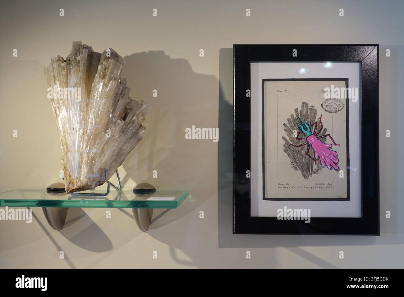 Paris, Musée de Minéralogie de l’École des Mines, exposition de l'artiste de street-art Codex Urbanus // Paris, Musée de Minéralogie de l'École des Mines de Paris Banque D'Images