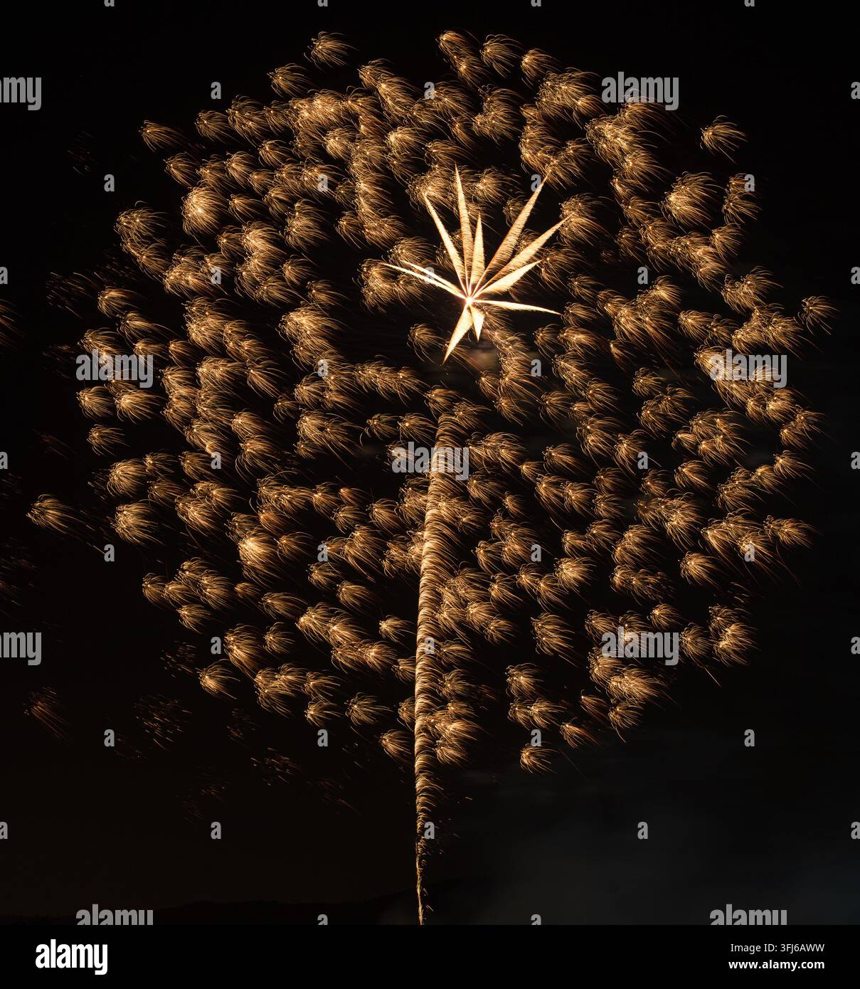 Un feu d'artifice doré forme une forme frappante en forme de palmier entourée d'étincelles en cascade contre un ciel nocturne noir. Banque D'Images