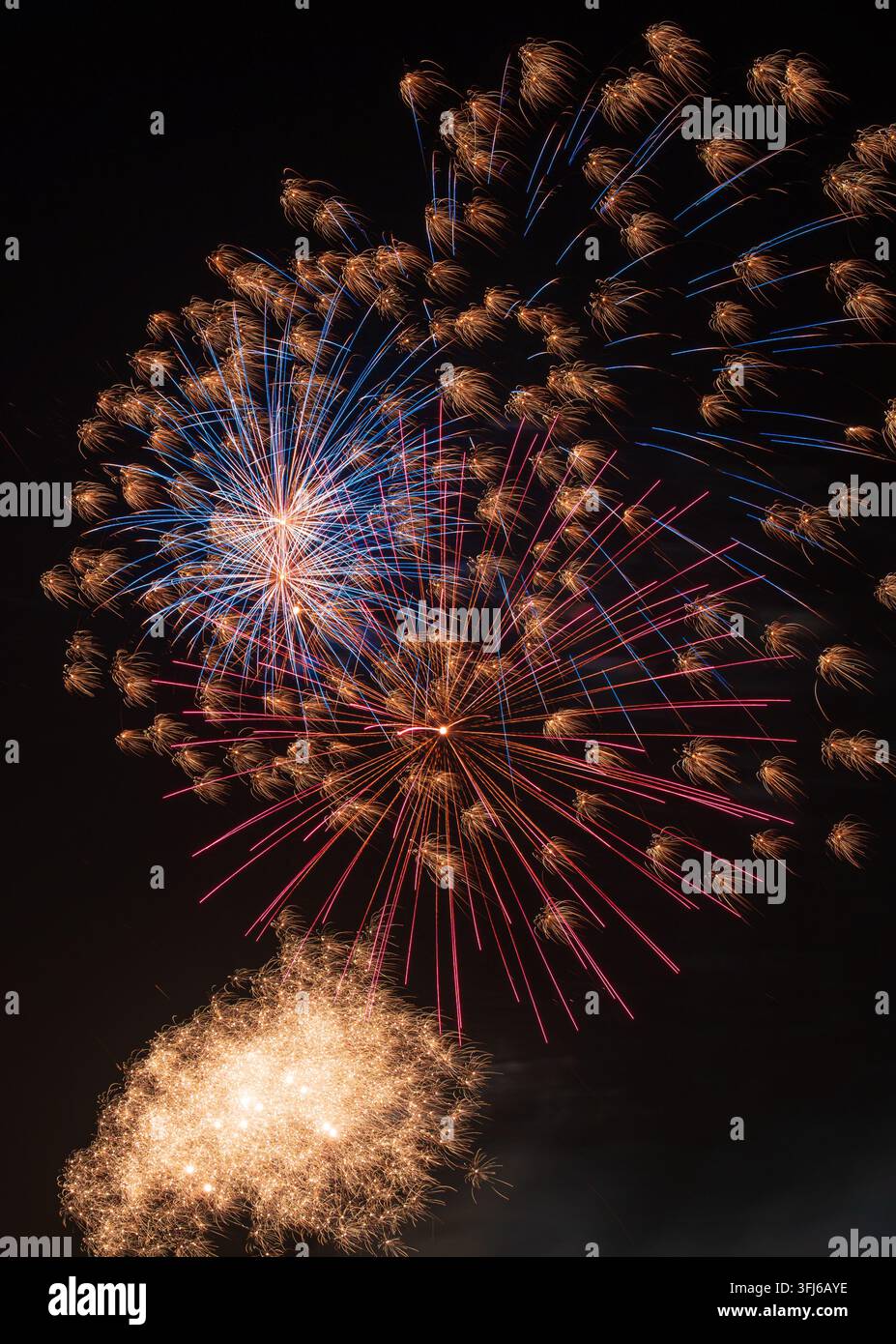 Des feux d'artifice bleus, rouges et dorés forment des éclats vifs et des traînées étincelantes Banque D'Images