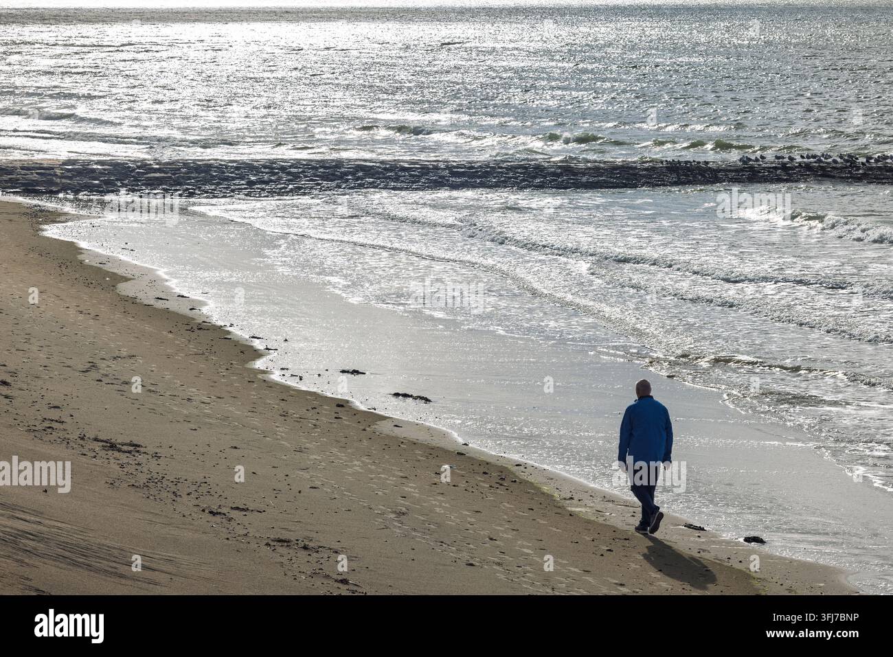 Promenade côtière solitaire le long du rivage scintillant, vagues océaniques paisibles rencontrant une plage de sable sous une lumière vive, évasion tranquille. Ostende en Be Banque D'Images