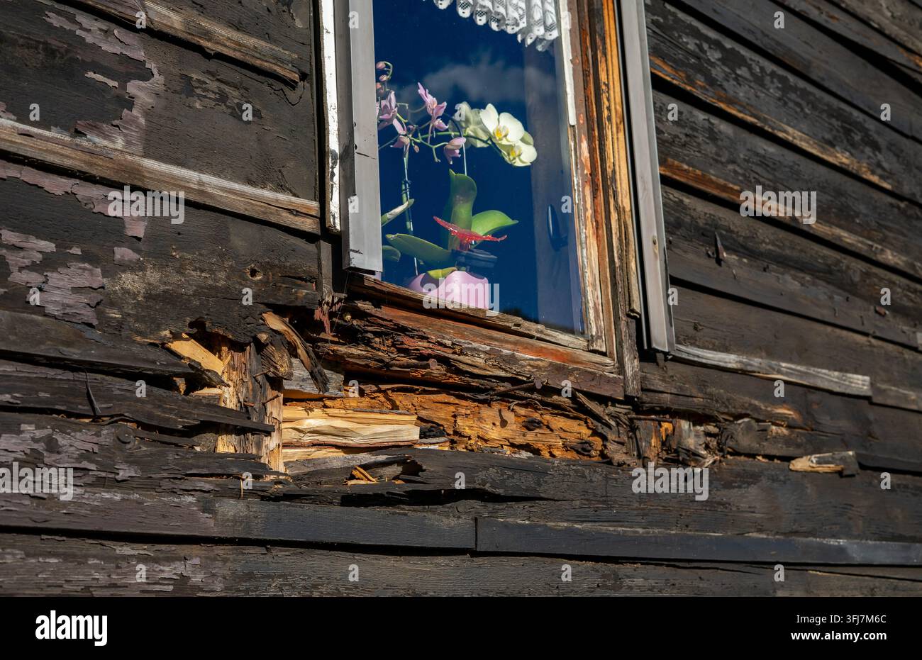 Ancienne maison à charpente en bois avec du bois pourri nécessitant une rénovation Banque D'Images