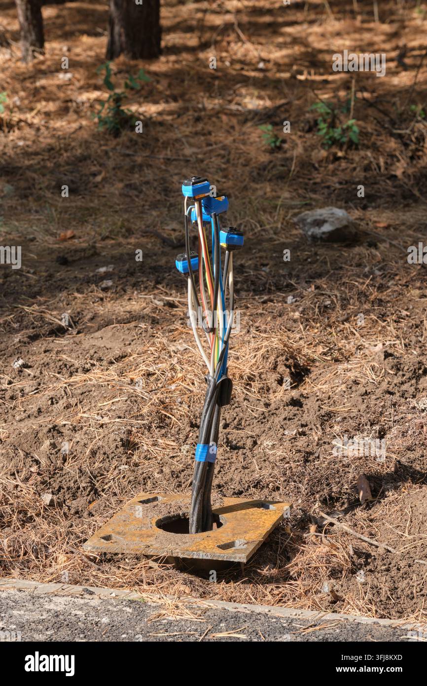 Ensemble de câbles électriques souterrains sortant du sol avec connecteurs de protection dans la forêt Banque D'Images