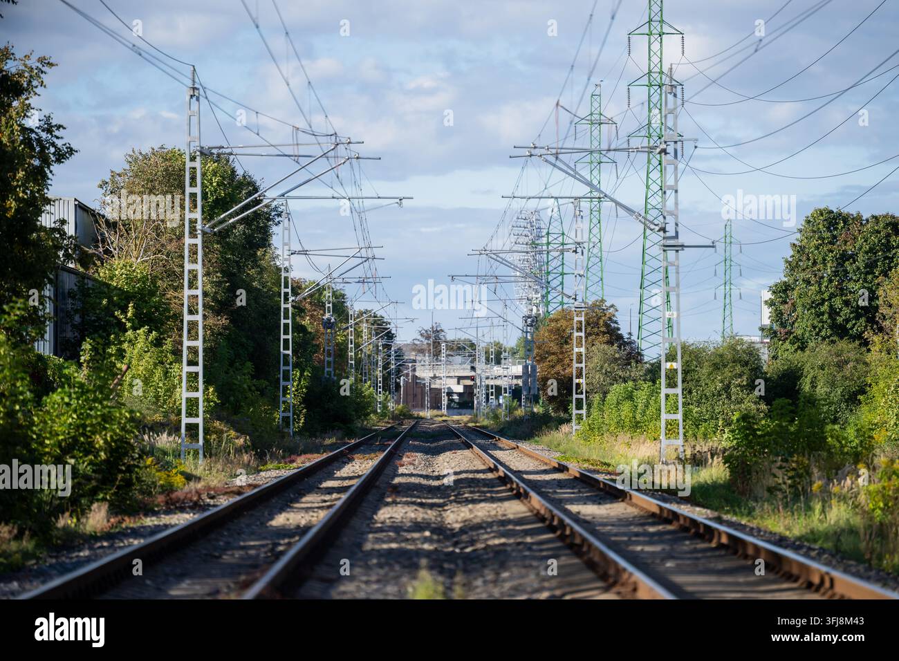 Deux rails d'acier convergent vers un viaduc lointain entre des rangées de mâts de caténaire et des pylônes de transmission en treillis vert transportant le couloir ferroviaire Banque D'Images