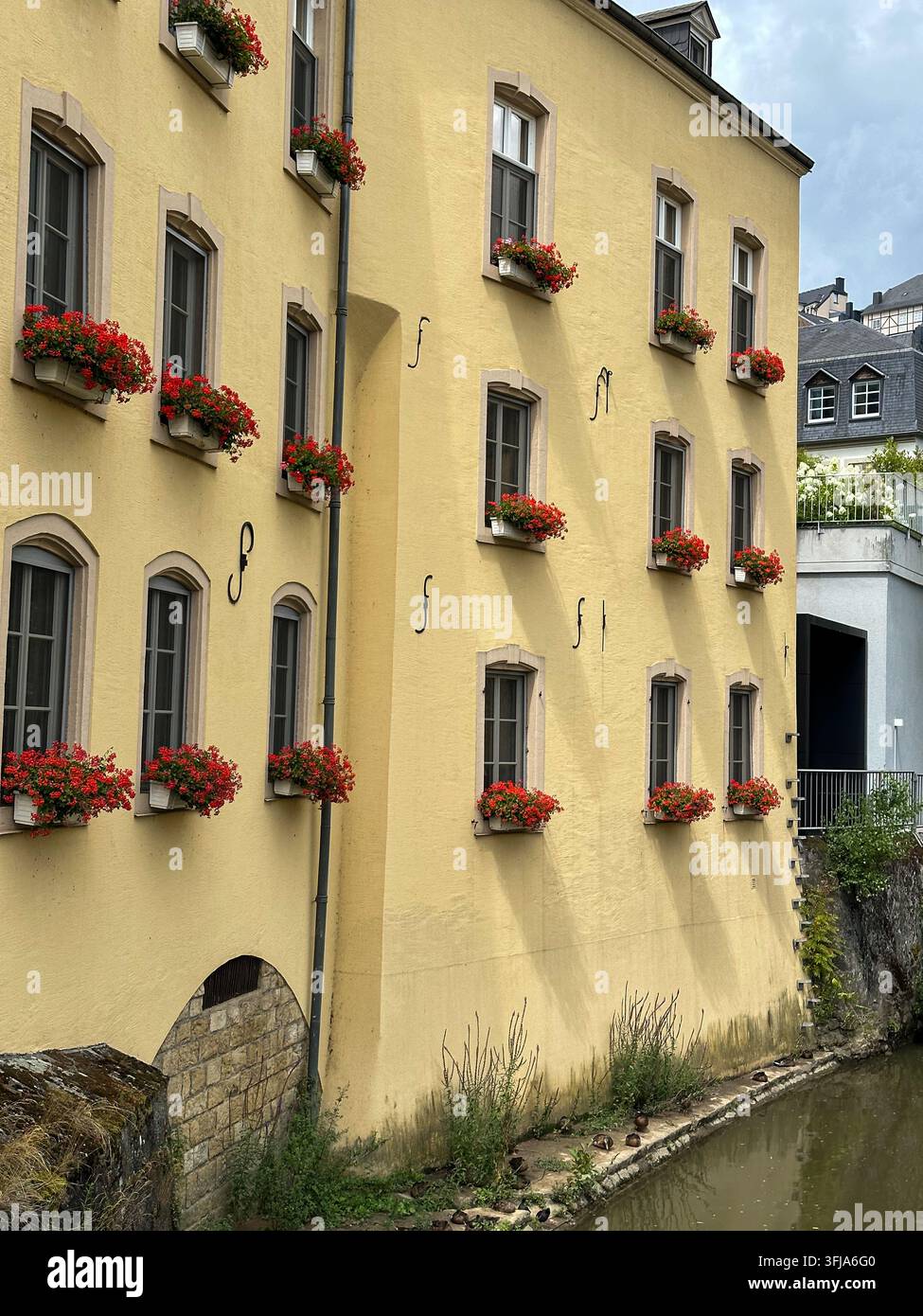 Façade historique d'un bâtiment jaune ornée de fleurs rouges vives dans des jardinières le long d'une rivière. Façade historique d'un bâtiment jaune décorée de vib - Image de stock capturée avec un smartphone