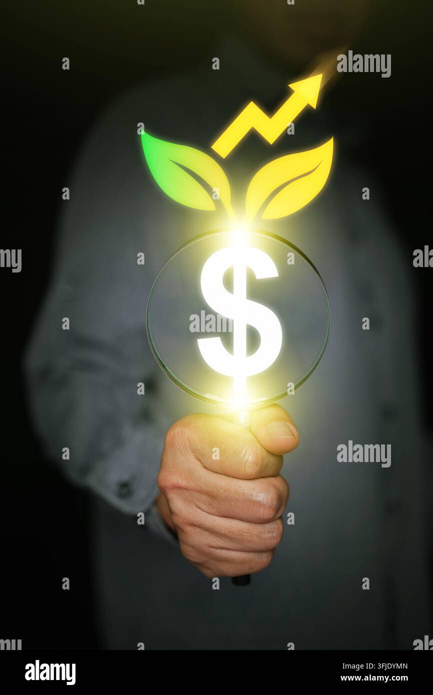 Main tenant une loupe avec une pousse de signe dollar avec des feuilles et une flèche vers le haut. Audit financier, analyse d'investissement, inspection de croissance du capital, a Banque D'Images