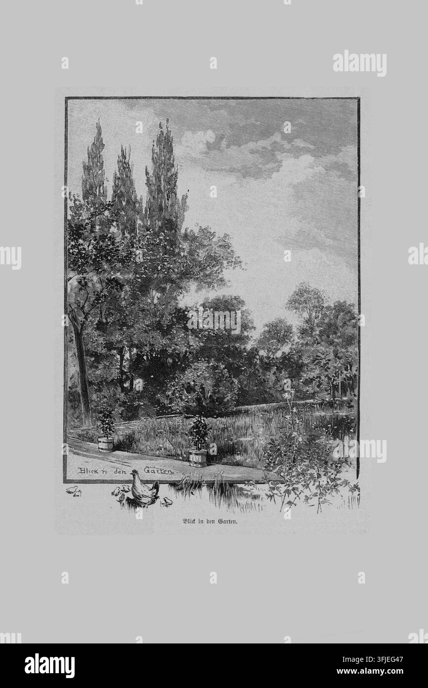 Vue de jardin avec poule et poussins, paysage luxuriant, plantes en pot, gravure du XIXe siècle. Banque D'Images