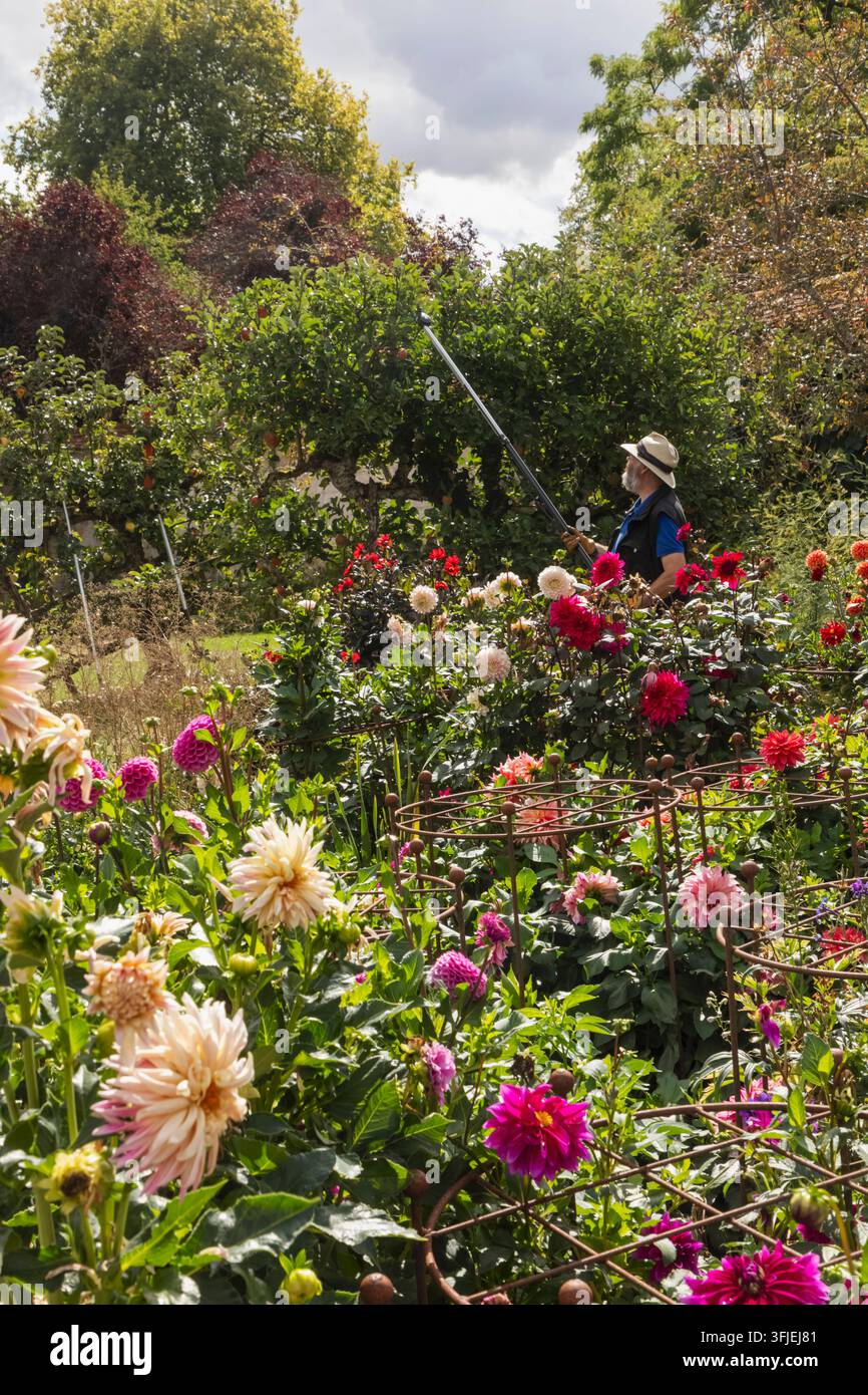 Angleterre, Hampshire, Test Valley, Stockbridge, Houghton Lodge Gardens, Jardin avec des fleurs en fleurs Banque D'Images