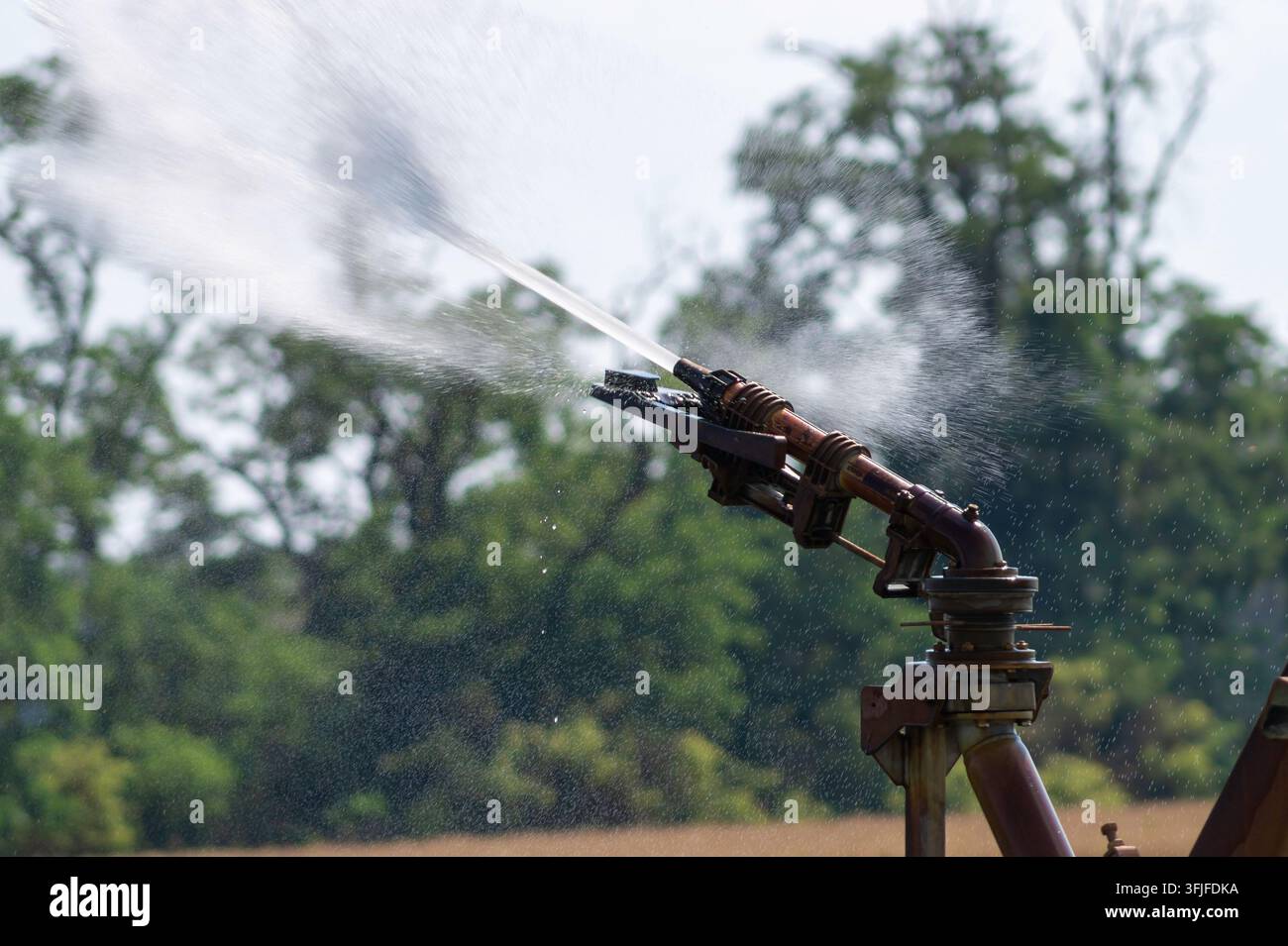 Arrosage agricole avec pulvérisateur aspergeant de l'eau sur un champ de cultures avec buse pivot en métal Banque D'Images