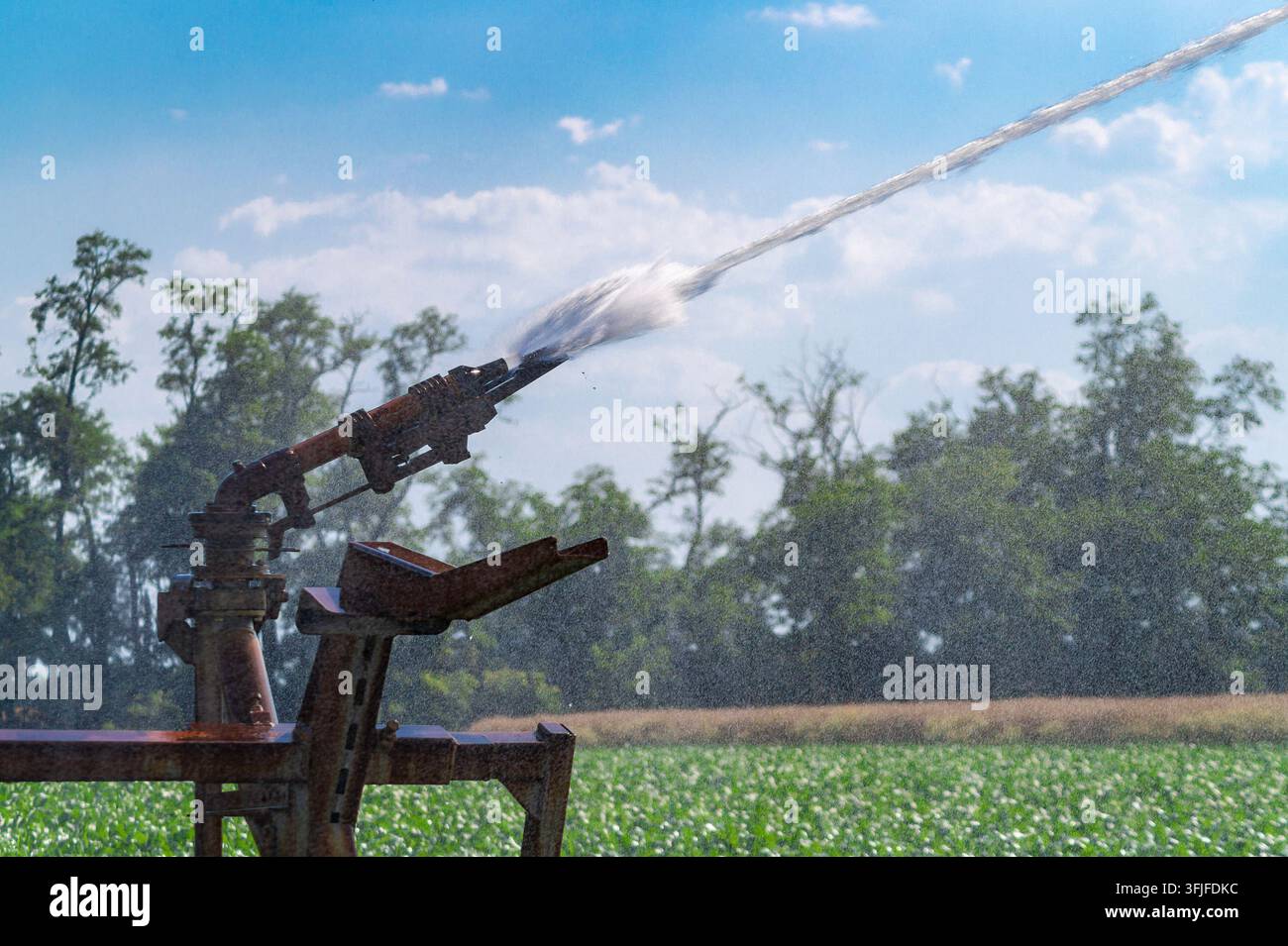Arrosage agricole avec pulvérisateur aspergeant de l'eau sur un champ de cultures avec buse pivot en métal Banque D'Images