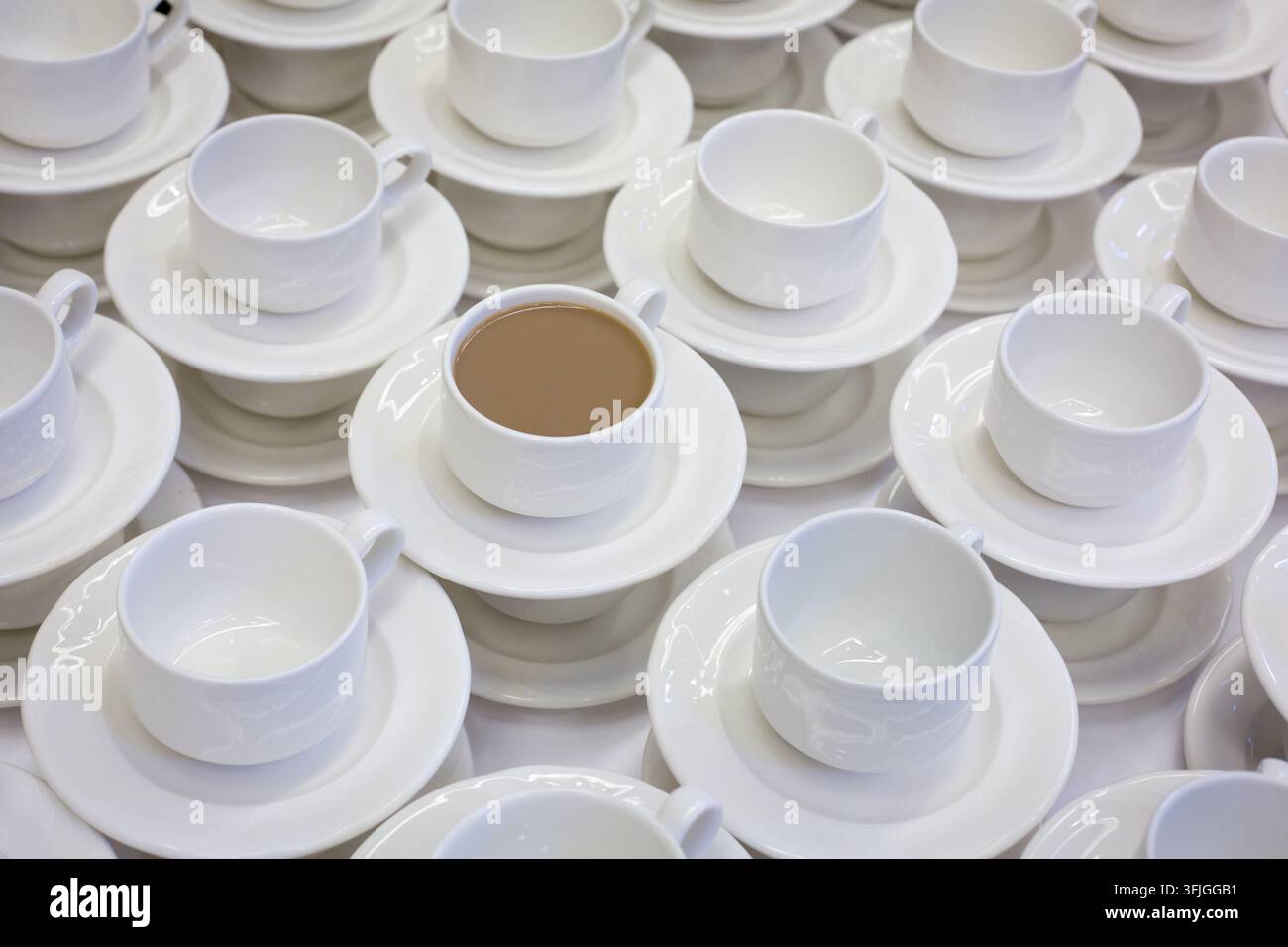À un poste de café d'un centre de congrès, une tasse remplie se trouve parmi des tasses blanches vides pendant une pause de conférence. Banque D'Images