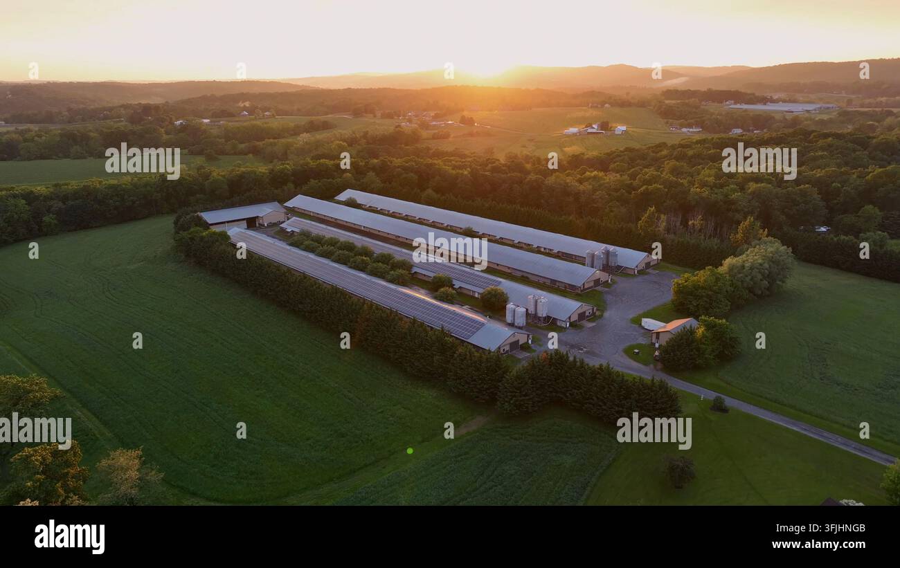 Ferme américaine au coucher du soleil avec de longues granges et des panneaux solaires sur les toits, nichée dans des champs verdoyants. L'architecture allie durabilité et campagne c Banque D'Images