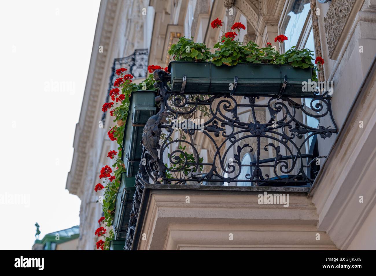 Un balcon en fer forgé orné est décoré de géraniums rouges sur une façade de bâtiment historique. Banque D'Images