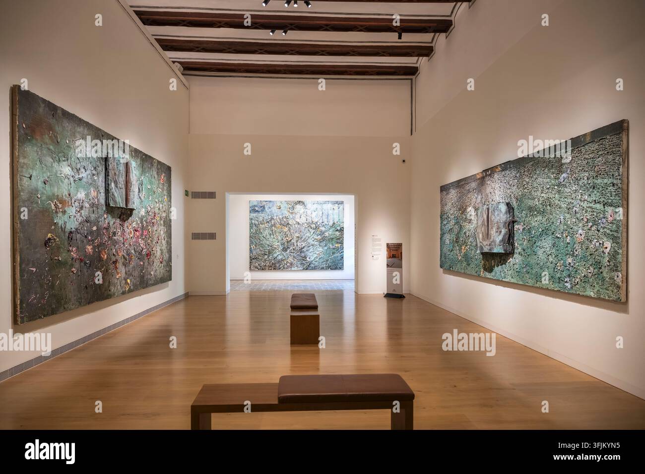 Œuvres de l'artiste allemand Anselm Kiefer exposées au Centre d'Art Hortensia Herrero, Valence, Communauté valencienne, Espagne Banque D'Images