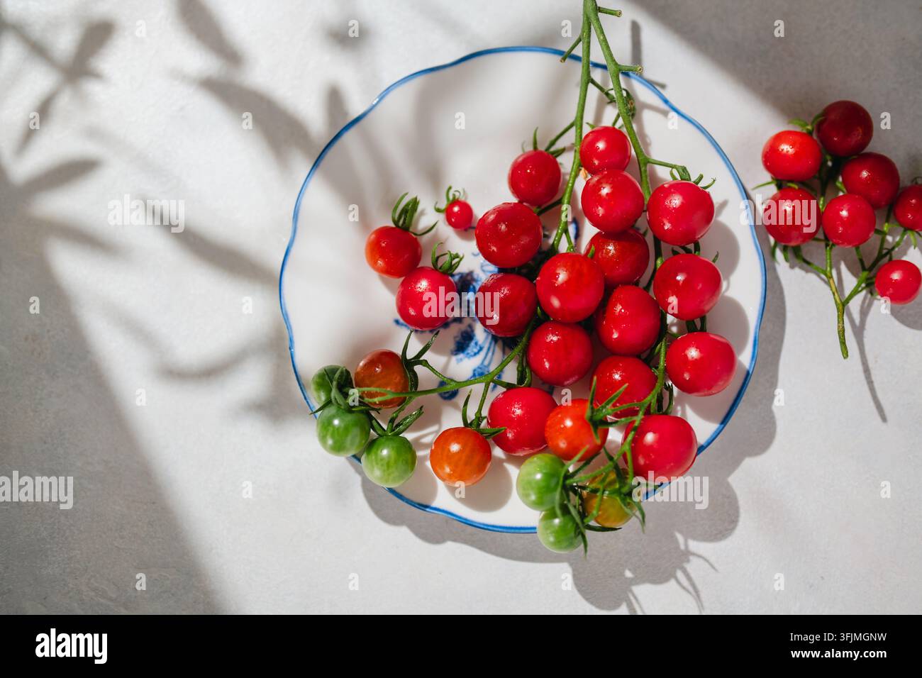 Tomates cerises fraîches sur la vigne dans un bol décoratif Banque D'Images