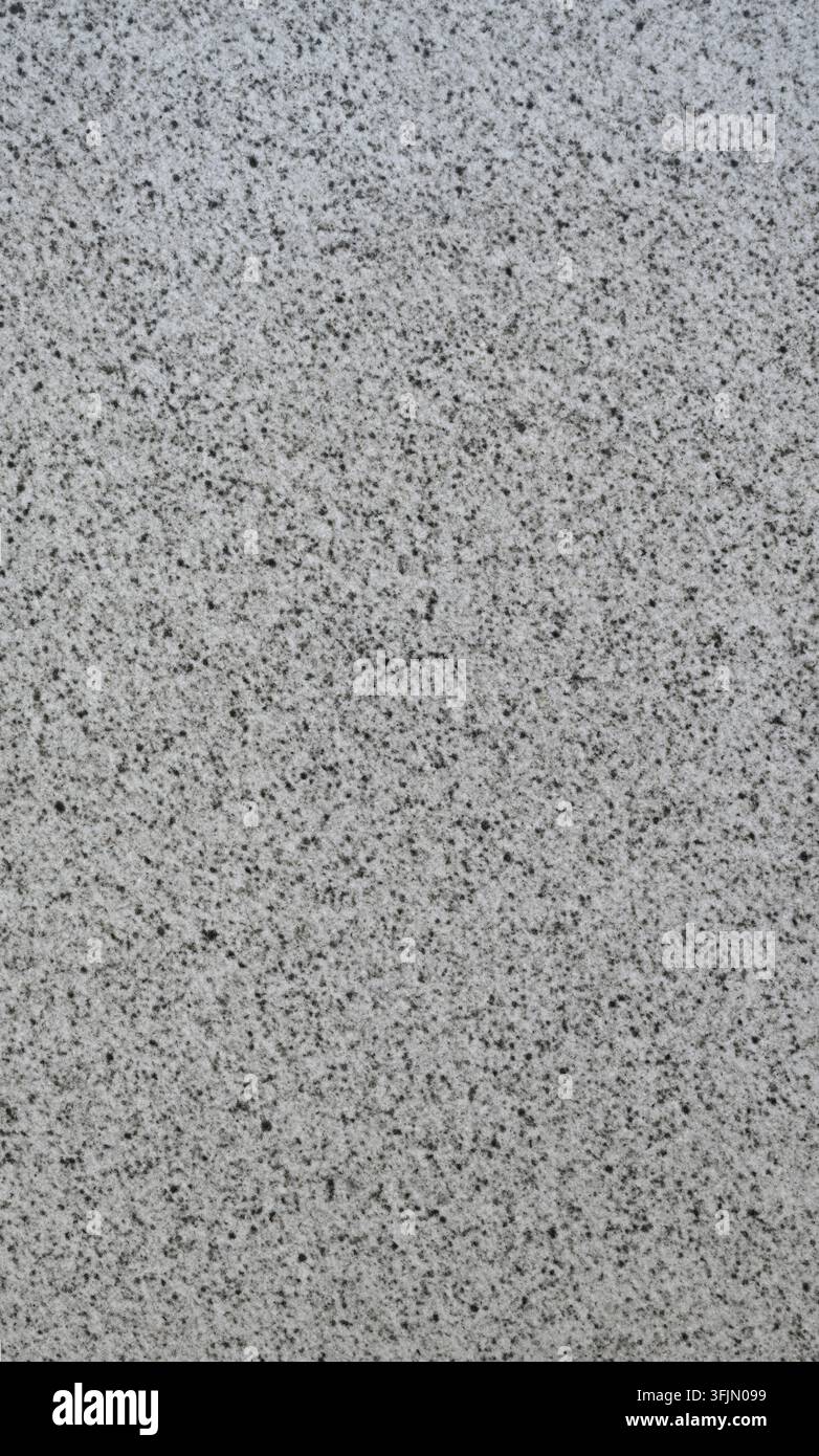 Surface en granit gris tacheté avec des taches minérales noires montrant une répartition aléatoire des taches, et un motif naturel de pierre sel-et-poivre Banque D'Images