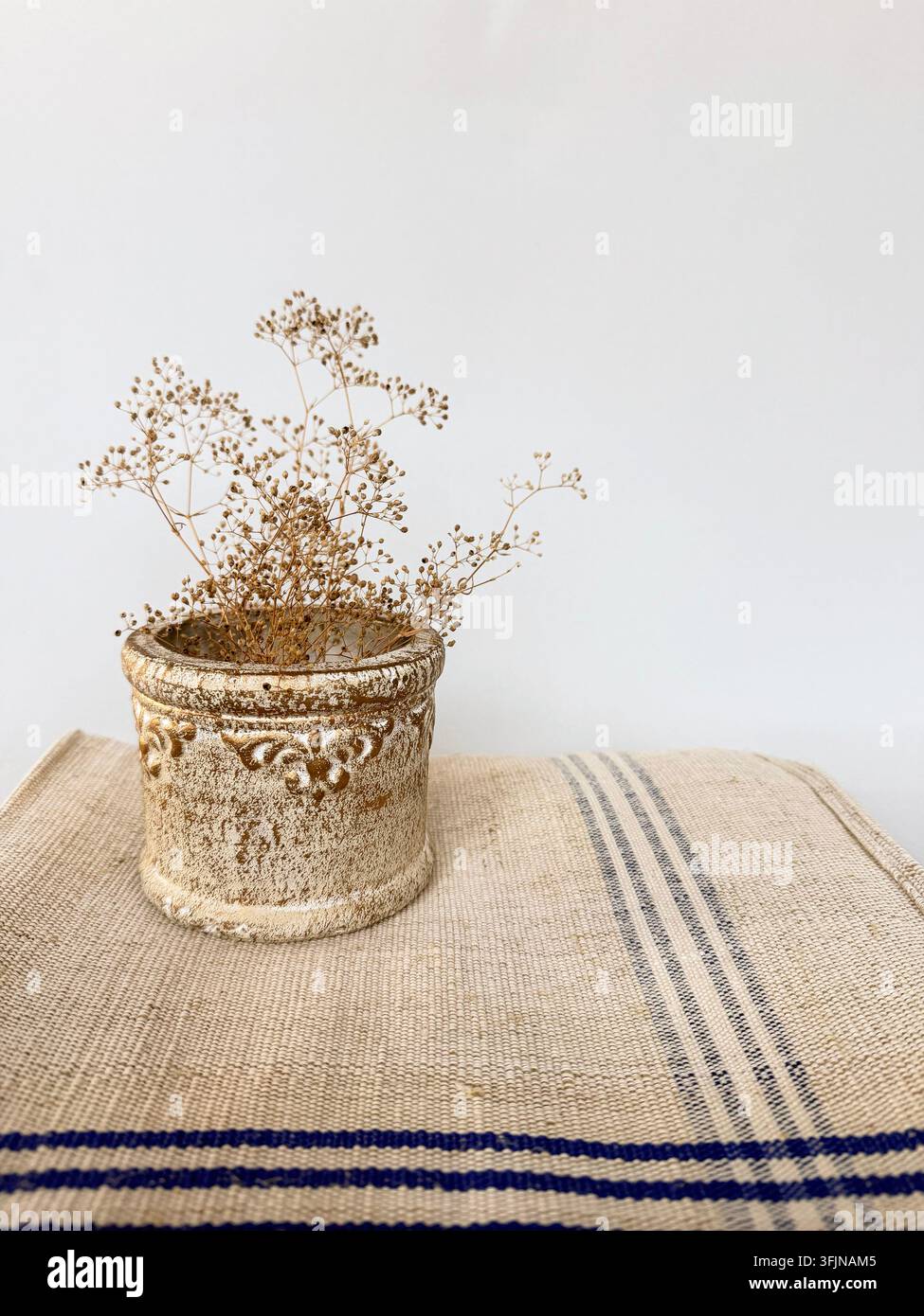 Fleurs séchées dans un pot en céramique rustique vintage sur une nappe en lin rayée bleue, sur un fond blanc uni Banque D'Images