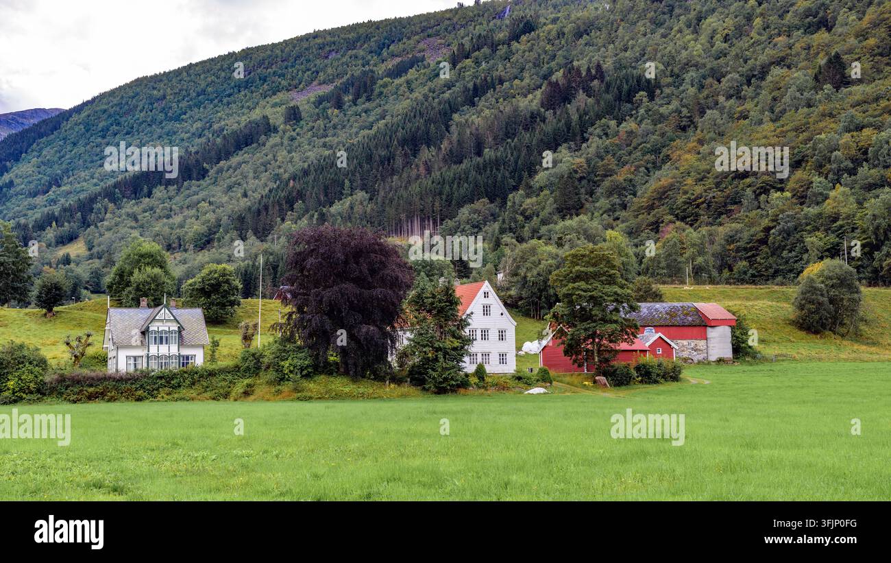 Ferme avec des maisons traditionnelles à Norddal (Fjord, Møre og Romsdal), dans l'ouest de la Norvège en septembre. Banque D'Images