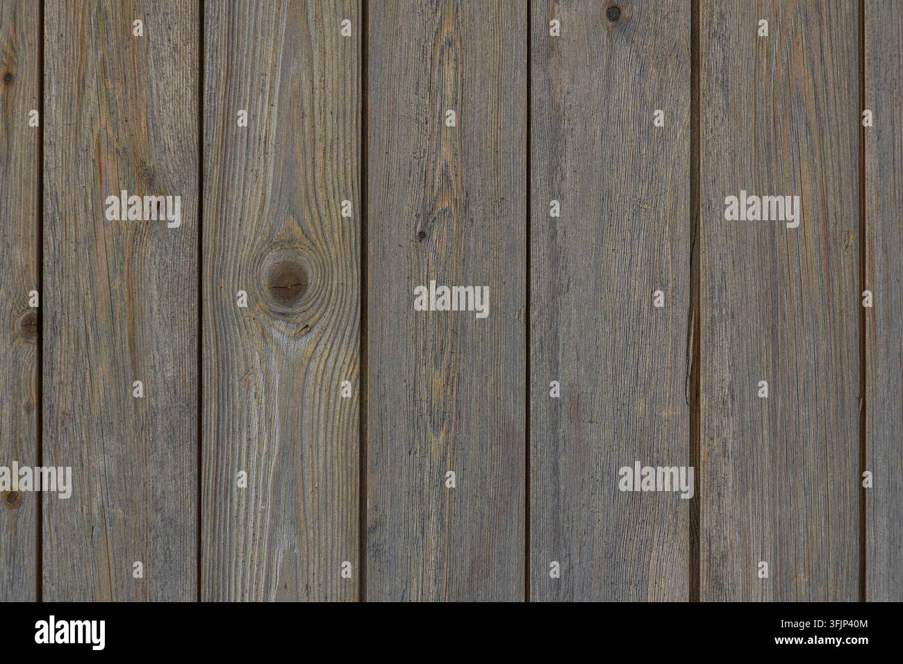 Un plan rapproché détaillé de planches de bois vieilles présentant des motifs de veines distincts, des coutures verticales et des imperfections naturelles telles que des nœuds, mettant en valeur une r Banque D'Images
