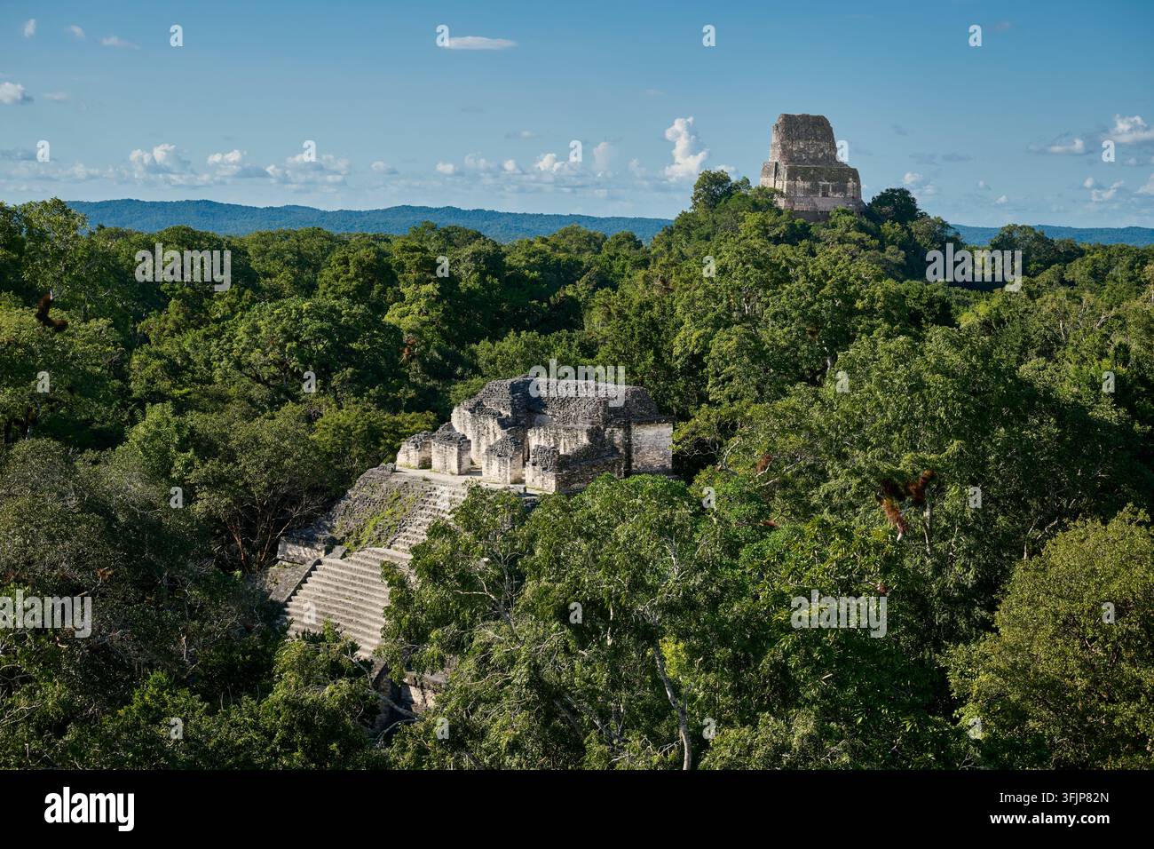 Vue sur la jungle avec les ruines mayas de Tikal, Parc national de Tikal, Petén, Guatemala, Amérique centrale Banque D'Images