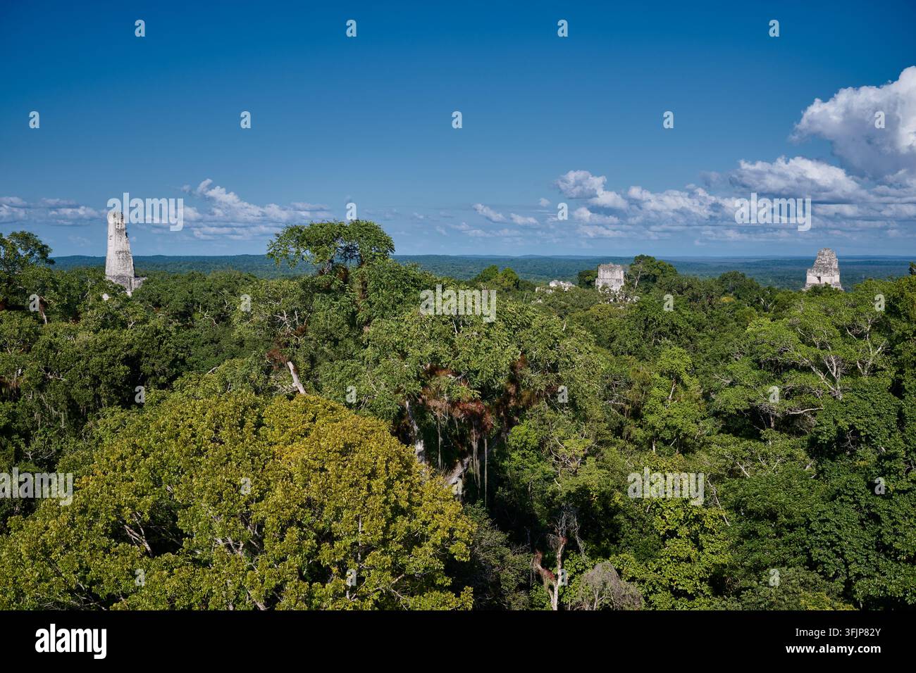 Vue sur la jungle avec les ruines mayas de Tikal, Parc national de Tikal, Petén, Guatemala, Amérique centrale Banque D'Images