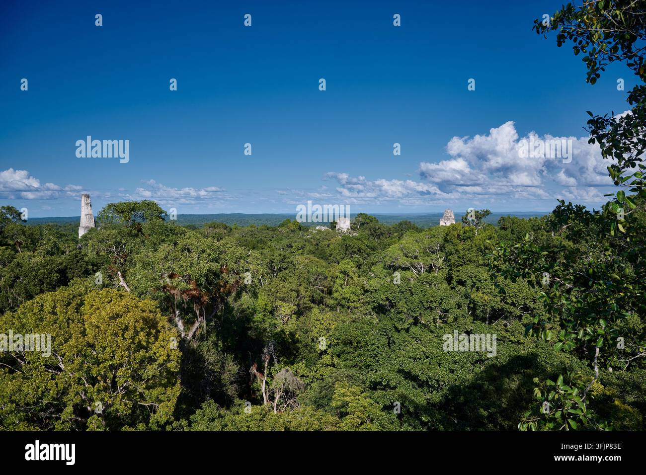 Vue sur la jungle avec les ruines mayas de Tikal, Parc national de Tikal, Petén, Guatemala, Amérique centrale Banque D'Images